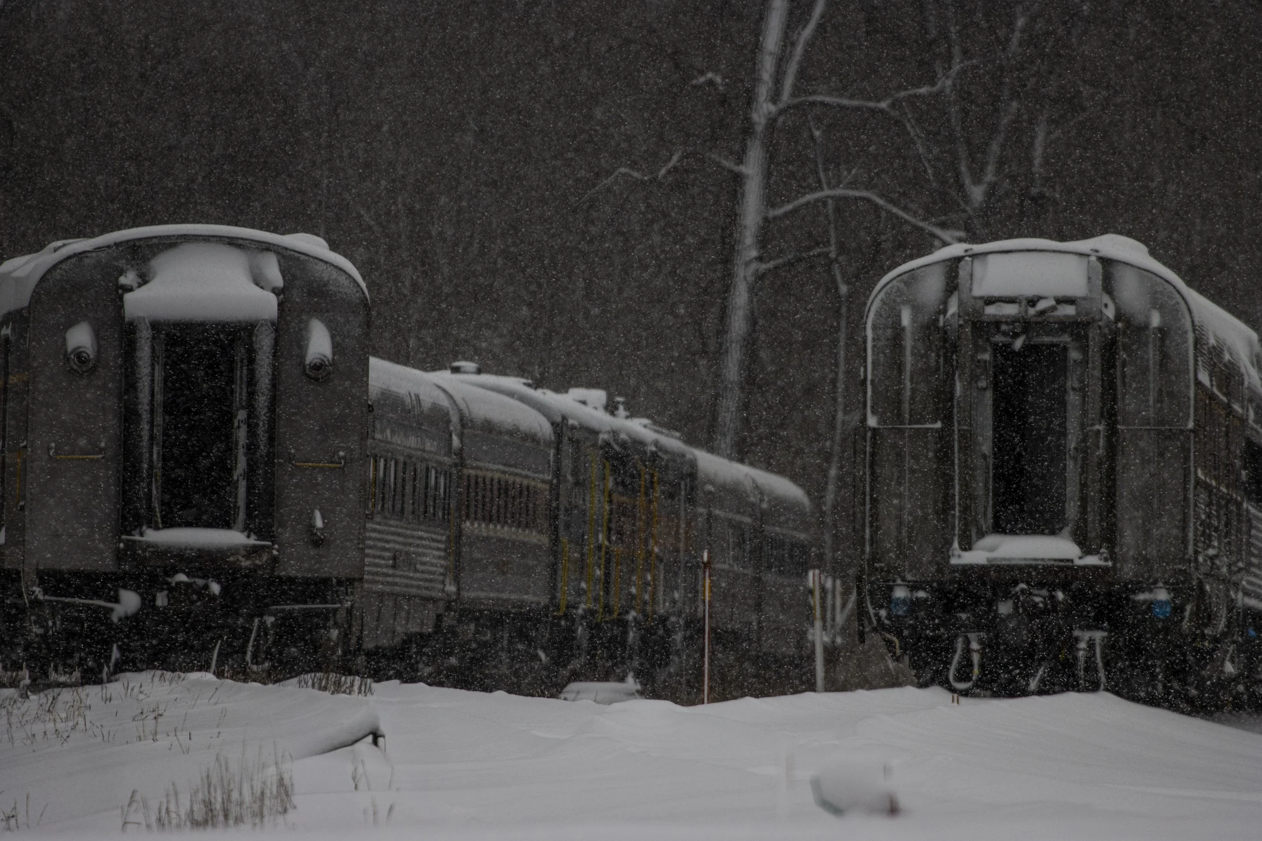 December 2026-07.jpg