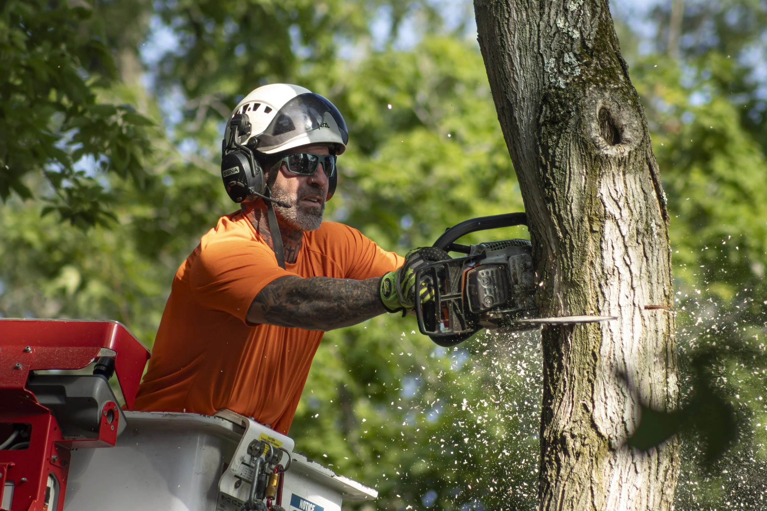 Tree Service Chagrin-34.jpg