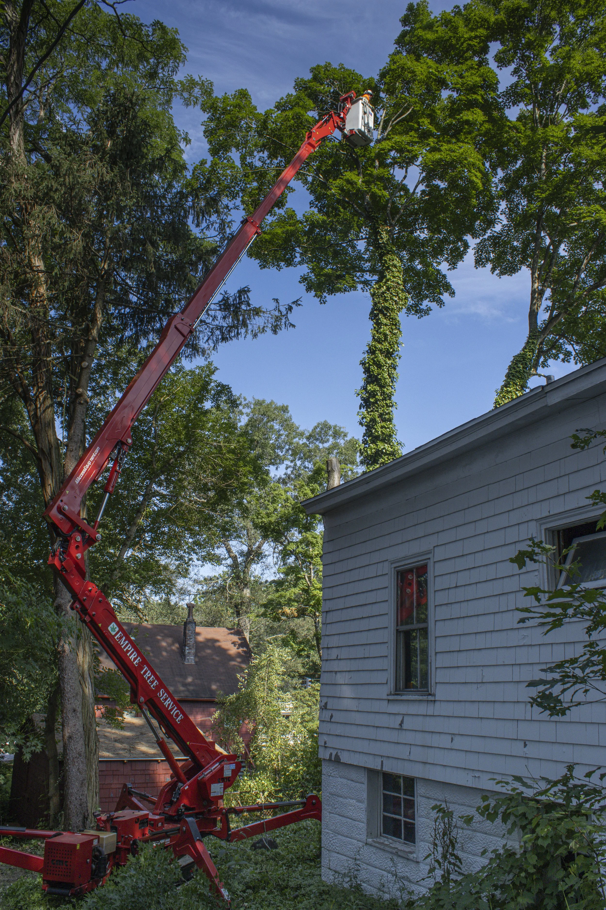 Tree Service Chagrin-16.jpg