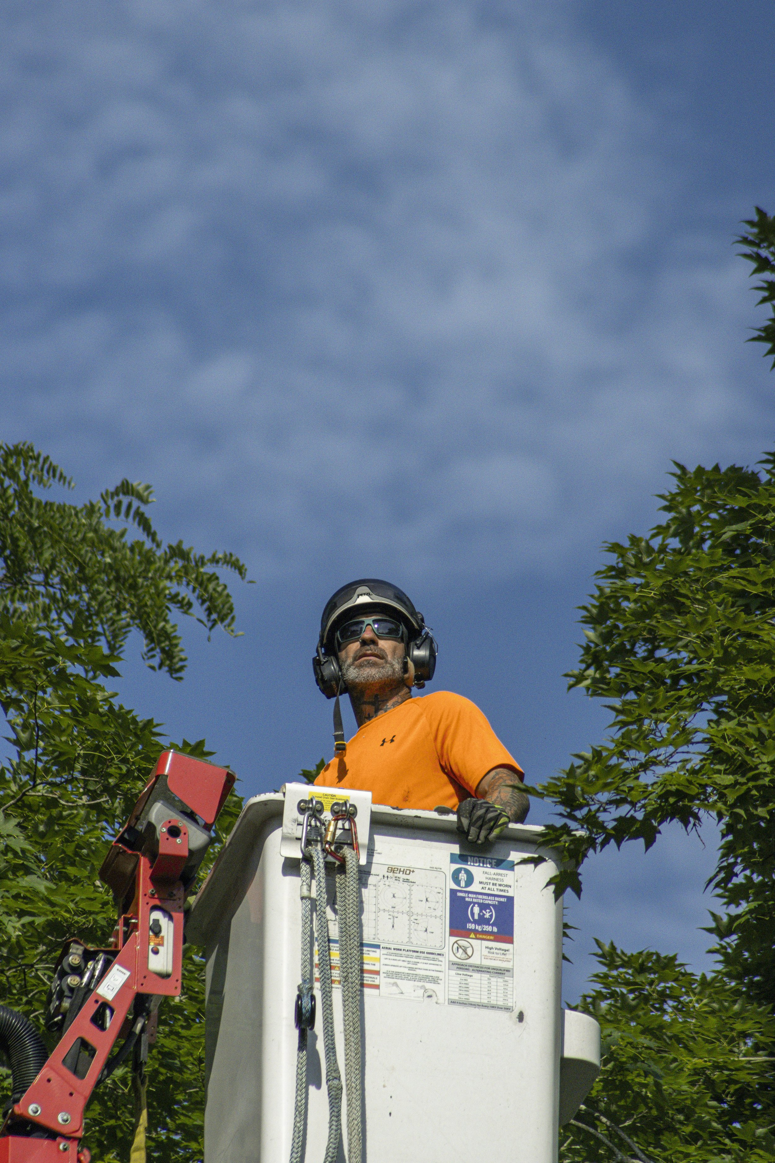 Tree Service Chagrin-14 - Copy.jpg