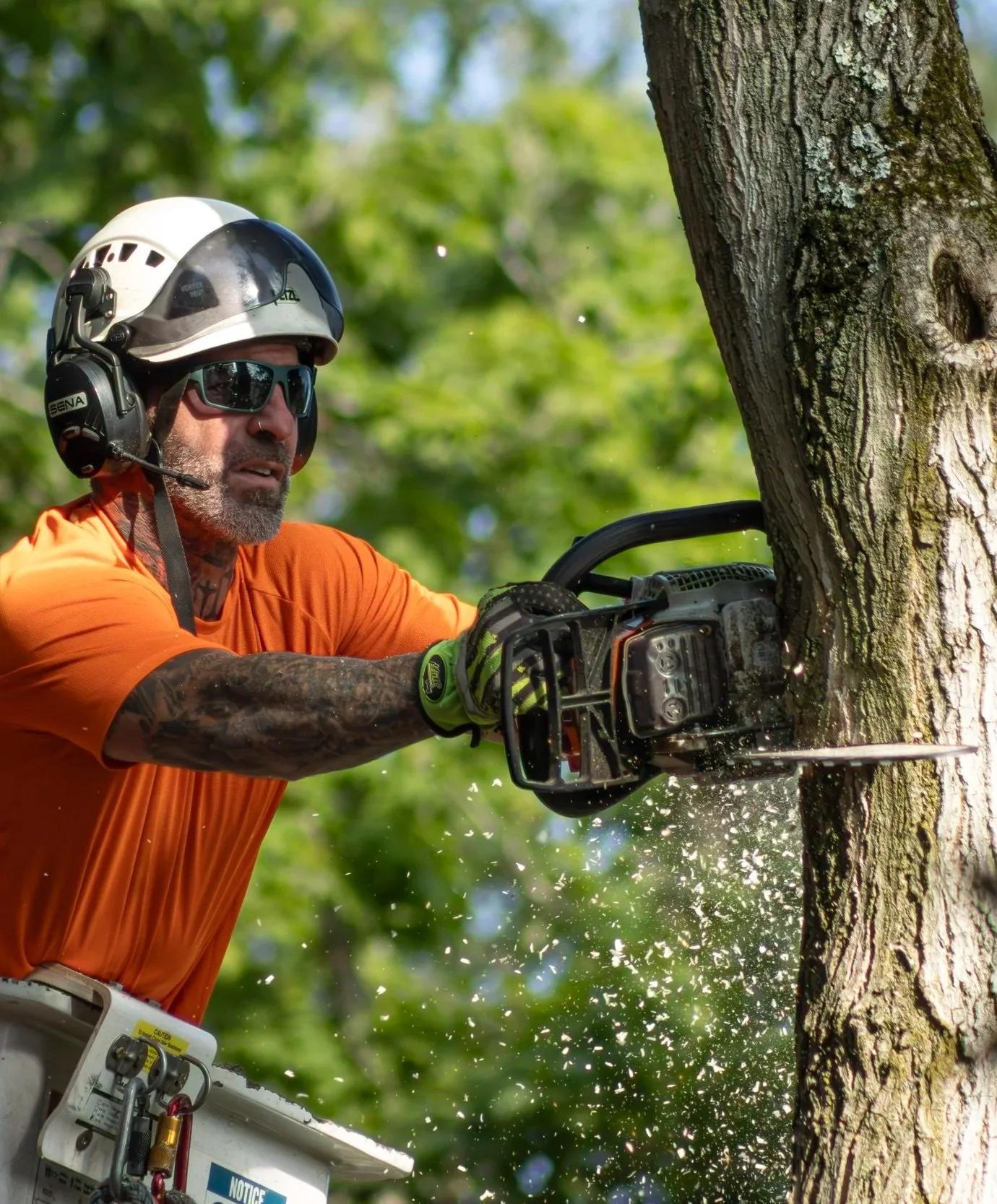 Private Business Work