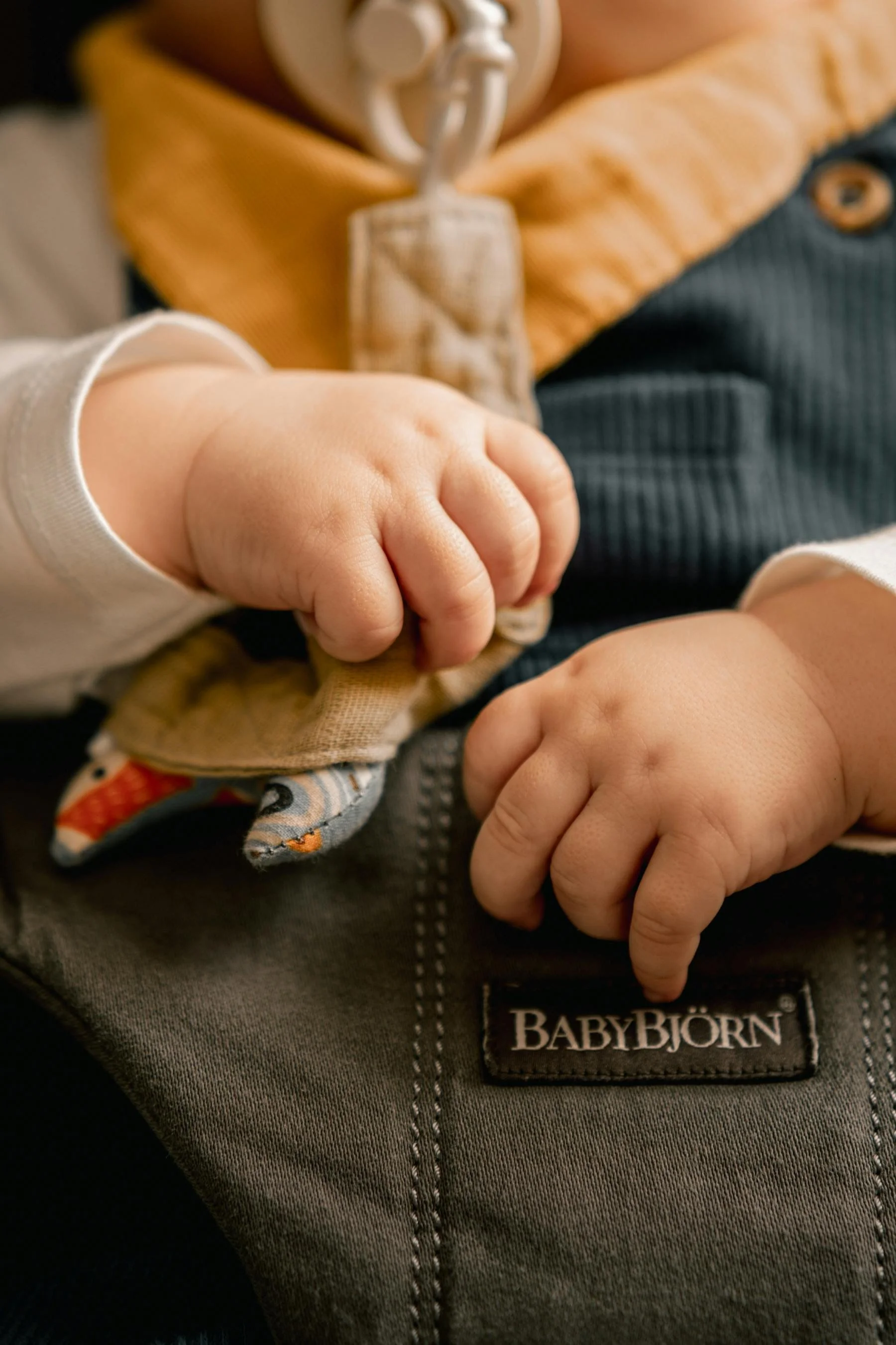 In-Home Consultations