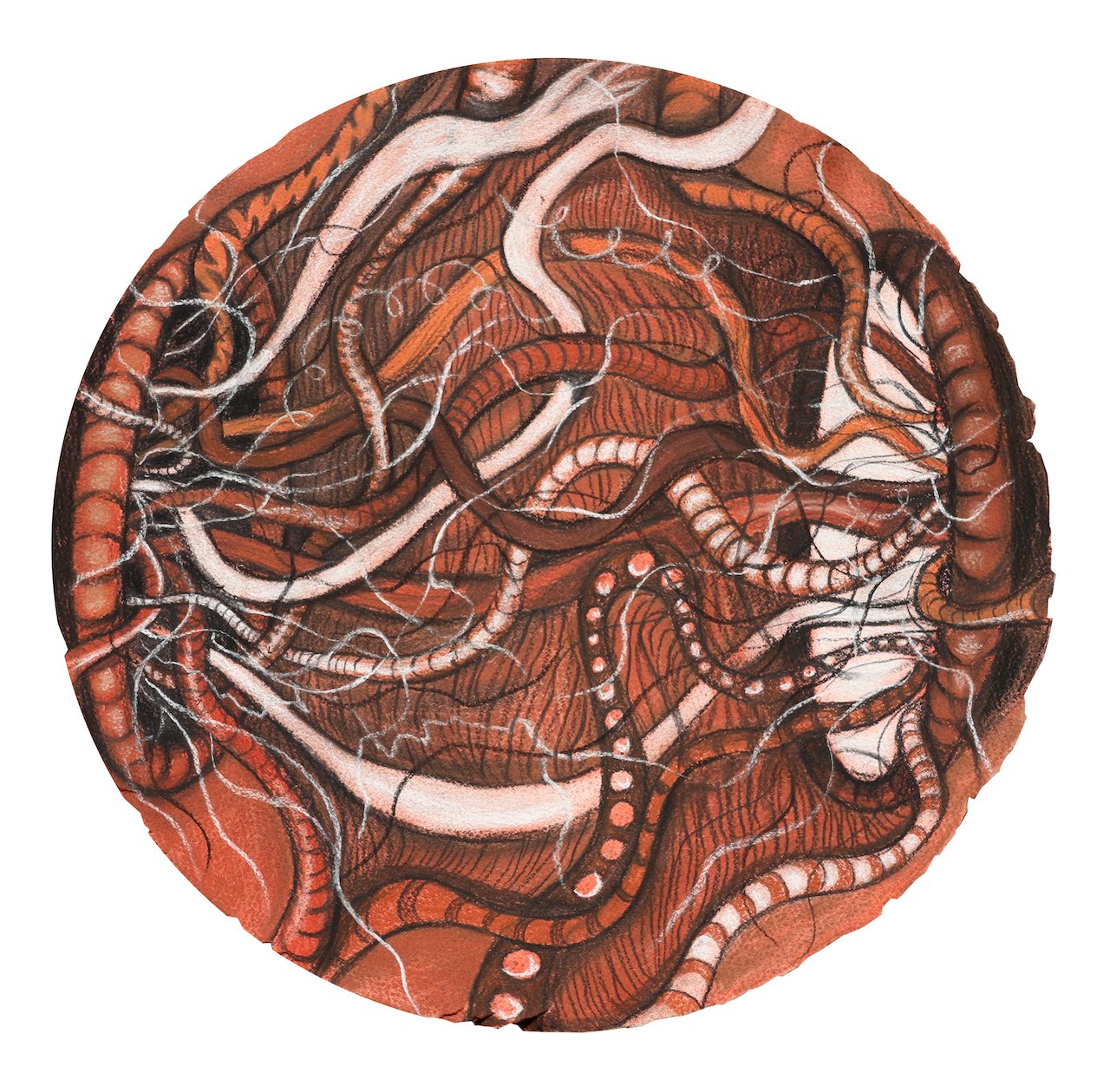 Dual Affair,
Charcoal on Paper,
16" Diameter