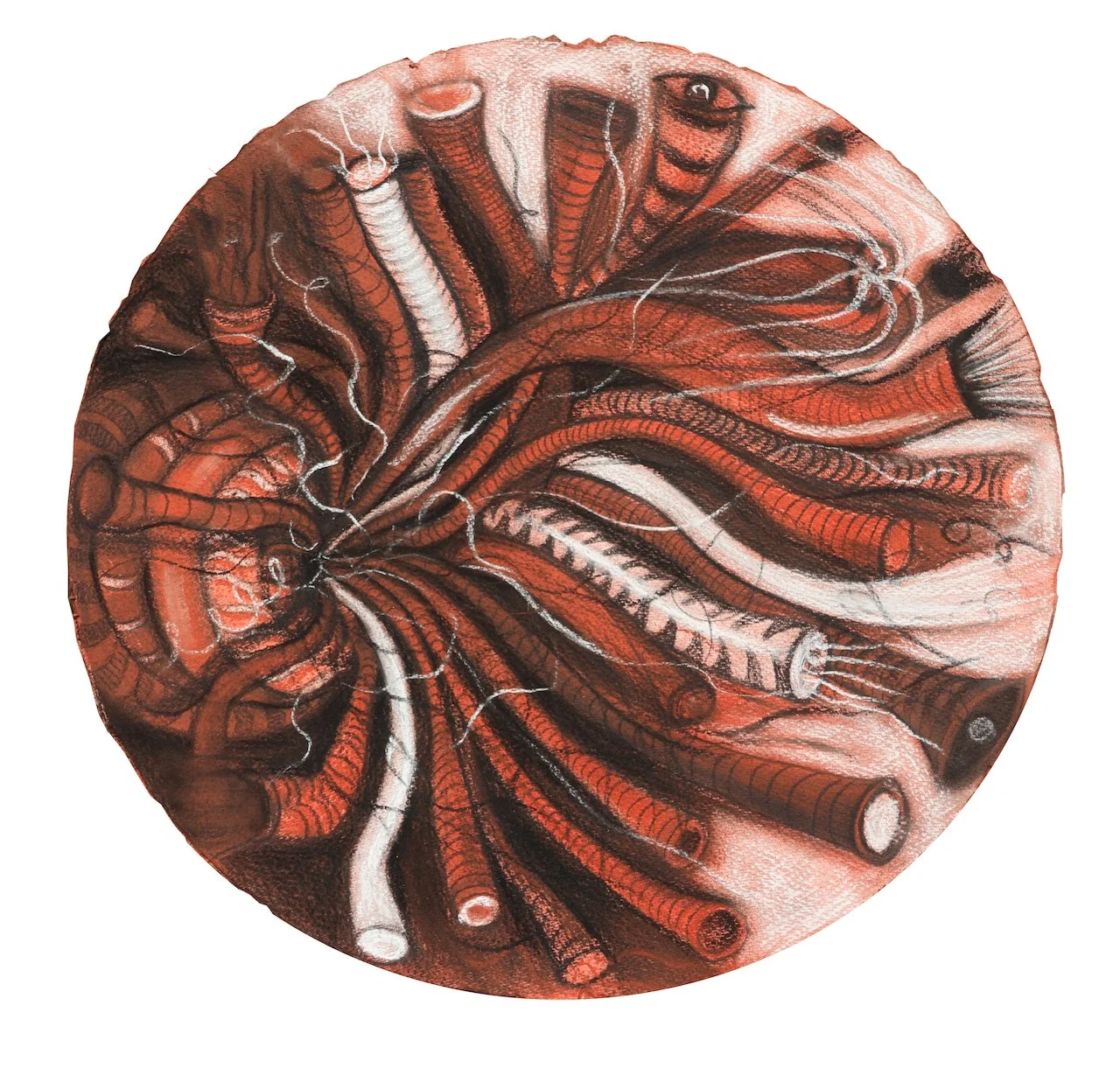 Sudden Outbreak,
Charcoal on Paper,
16" Diameter