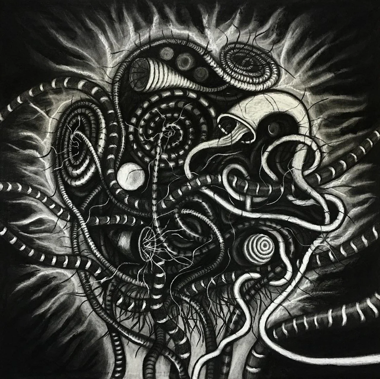 Cosmic Deformation, Charcoal on Panel, 30" X 30", 2016