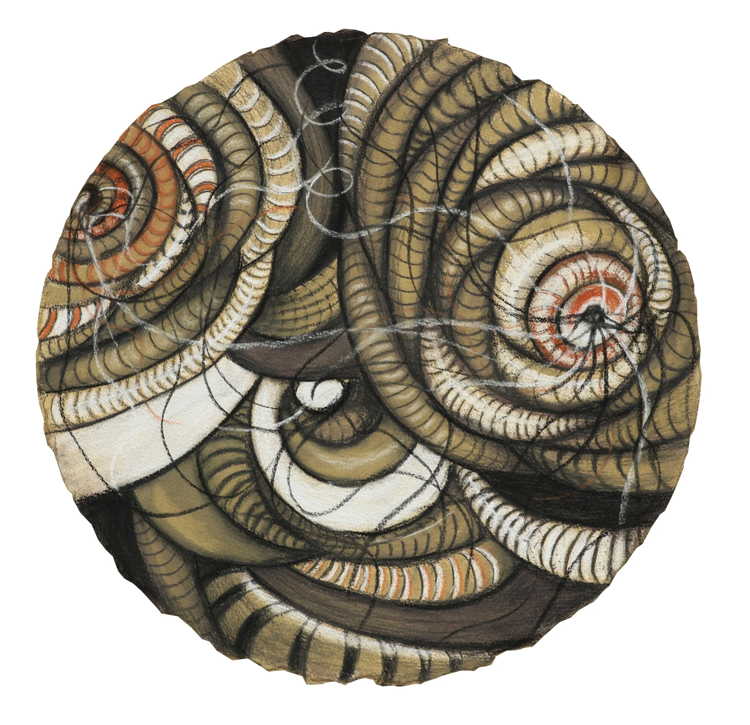 Peculiar Identity,
Charcoal on Paper,
16" Diameter, SOLD