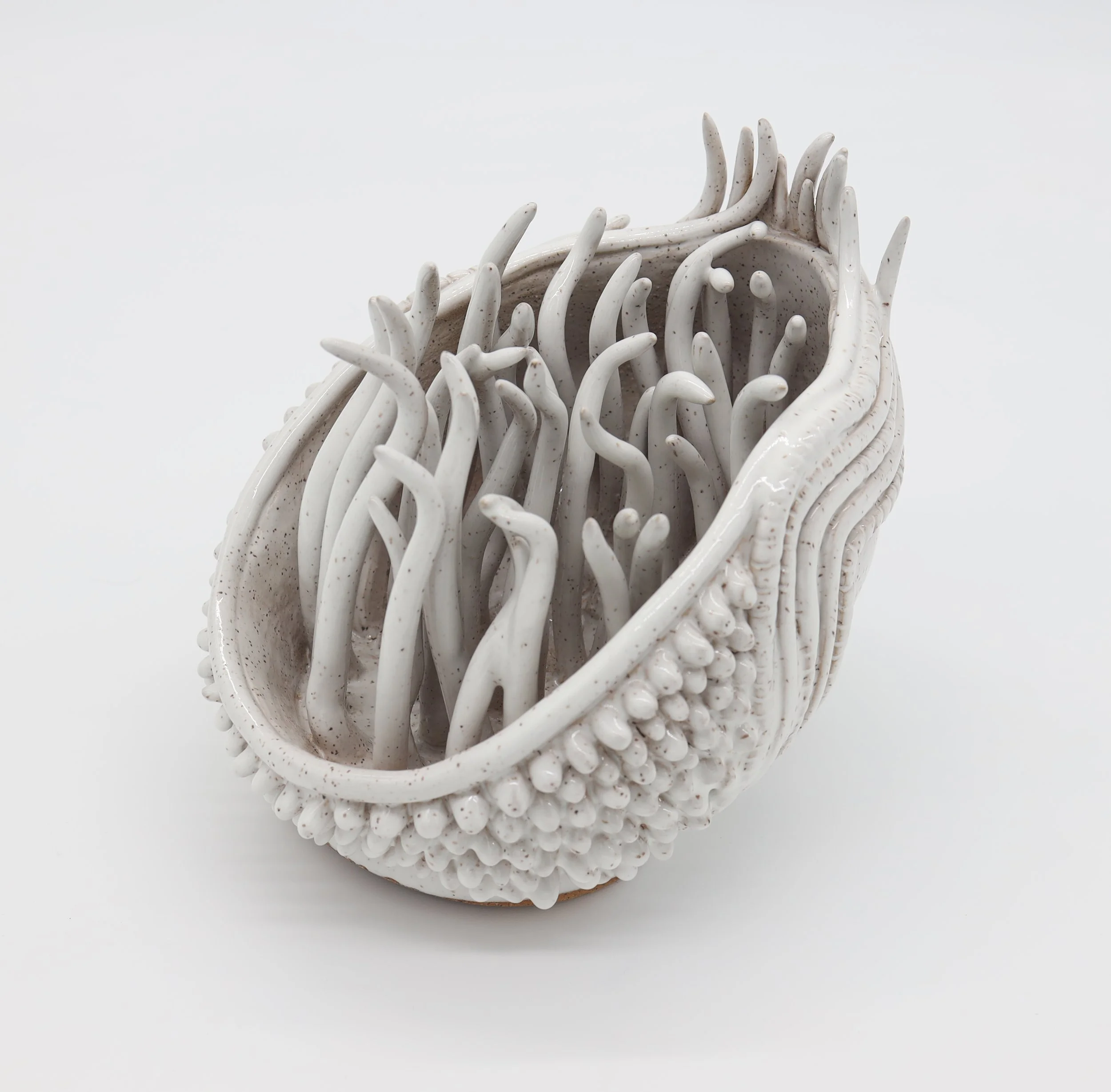 Peculiar Identity,
Ceramic, 2022,
6” X 7.5” X 6.5” (WX D X H) 