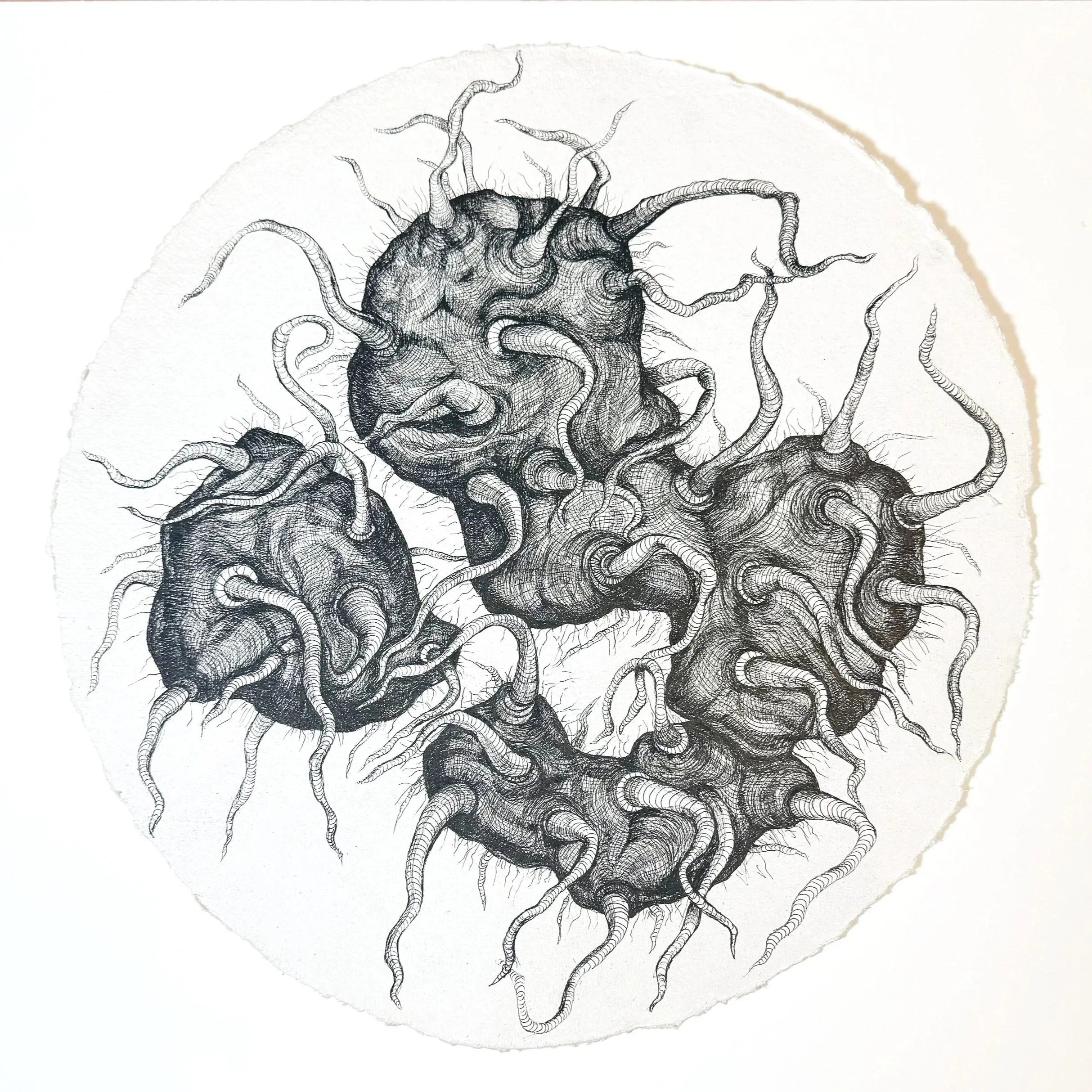 Growing Anxiety, Pen on Paper, 16" Diameter, 2026