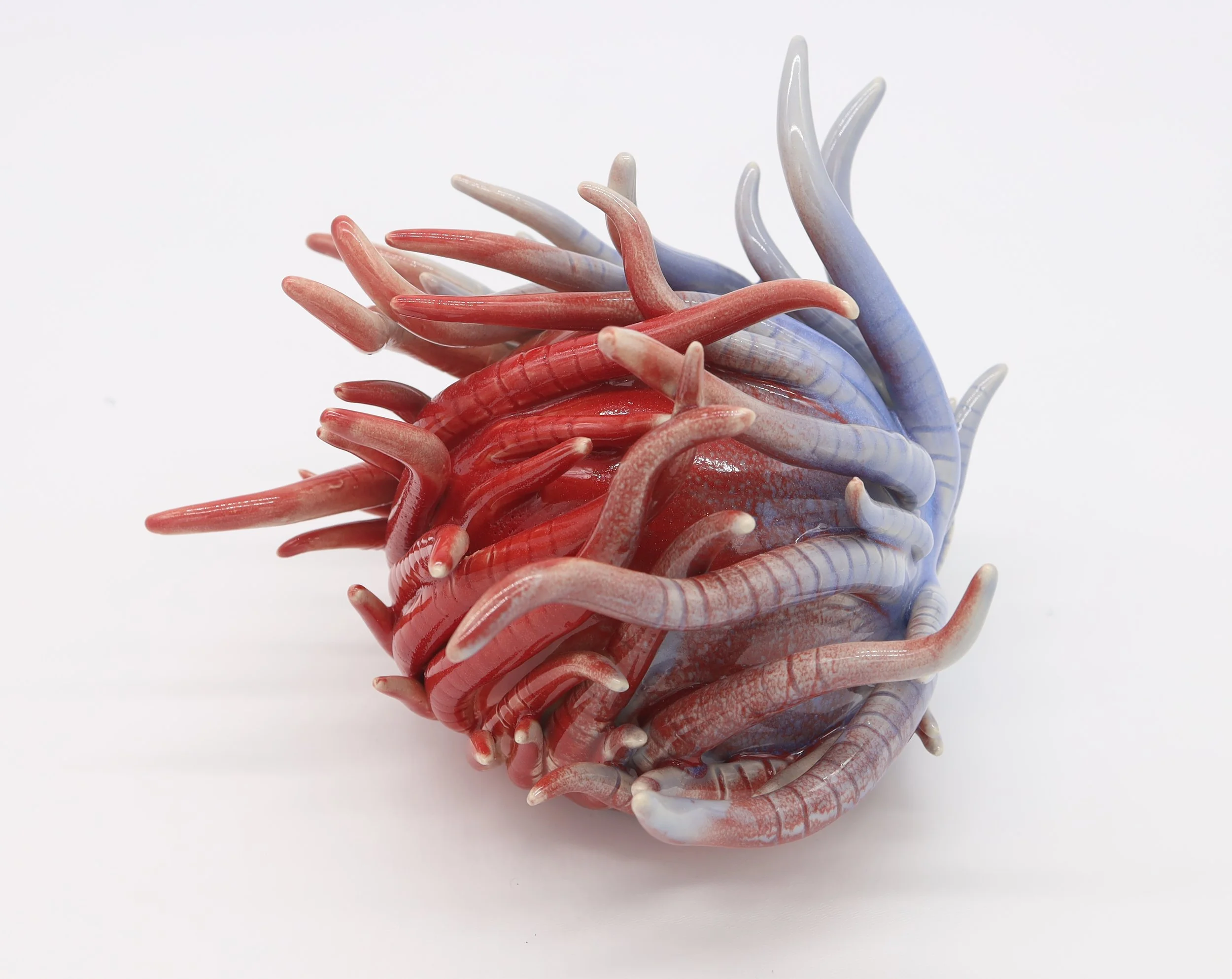 Tug-of-War,
Ceramic, 2023,
6” X 9”X 9” (HXWXD)