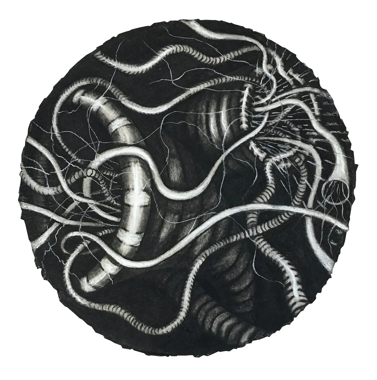 Lost Creation, 
Charcoal on Paper,
16" Diameter
(Unavailable)