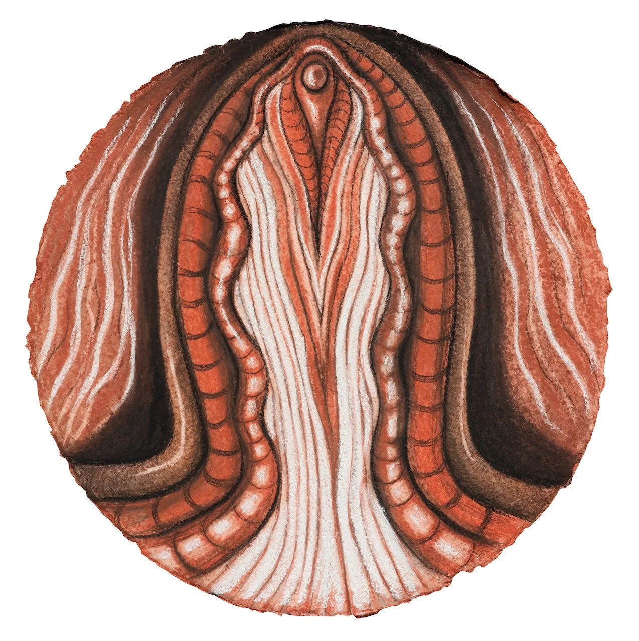 Sensuous,
Charcoal on Paper,
16" Diameter