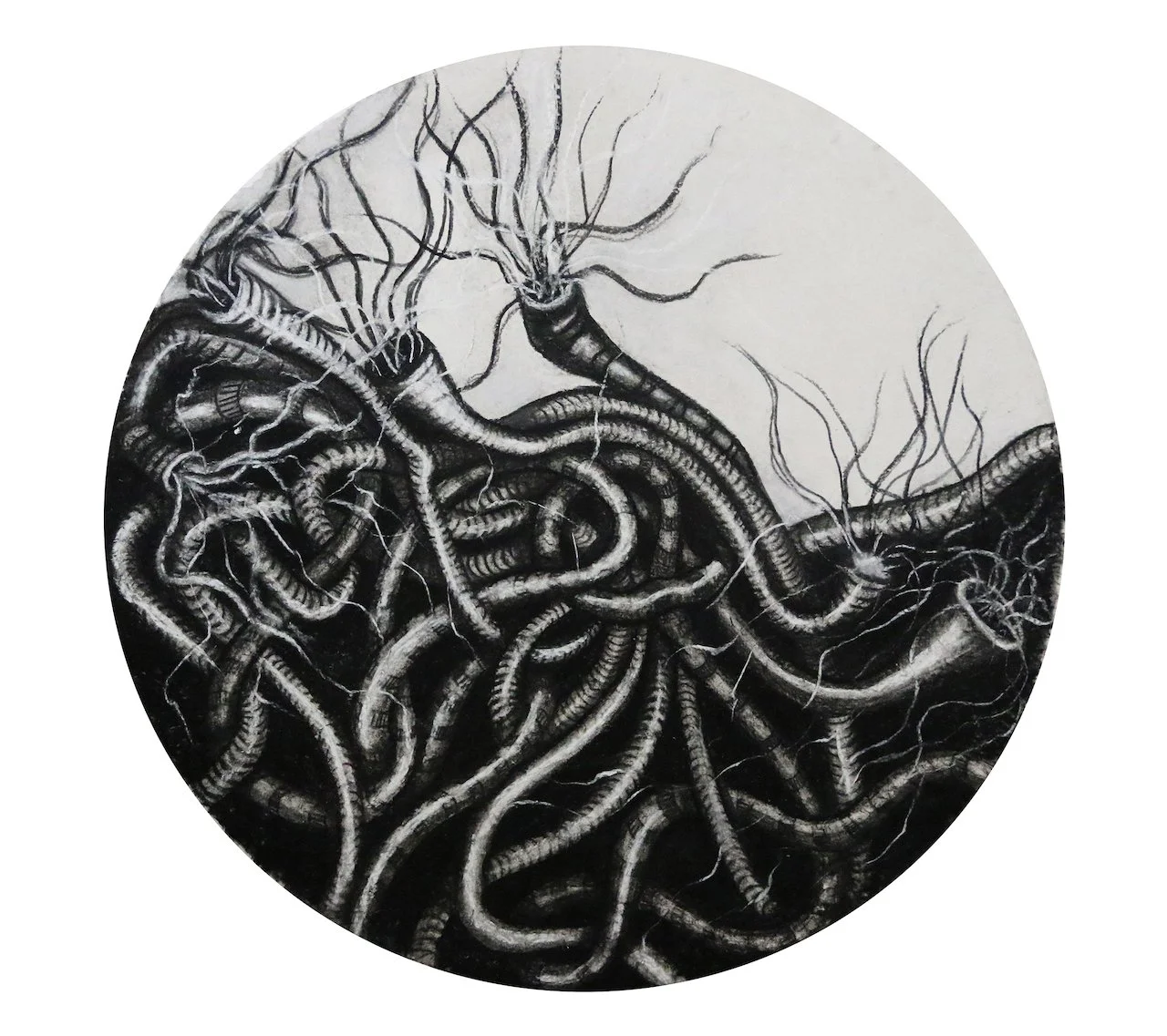 Unfinished Business,
Charcoal on Paper,
16" Diameter