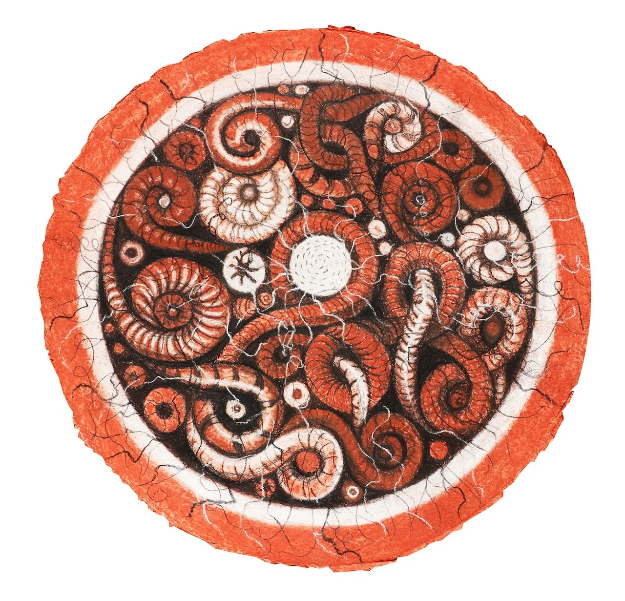 The way things shape up,
Charcoal on Paper,
16" Diameter