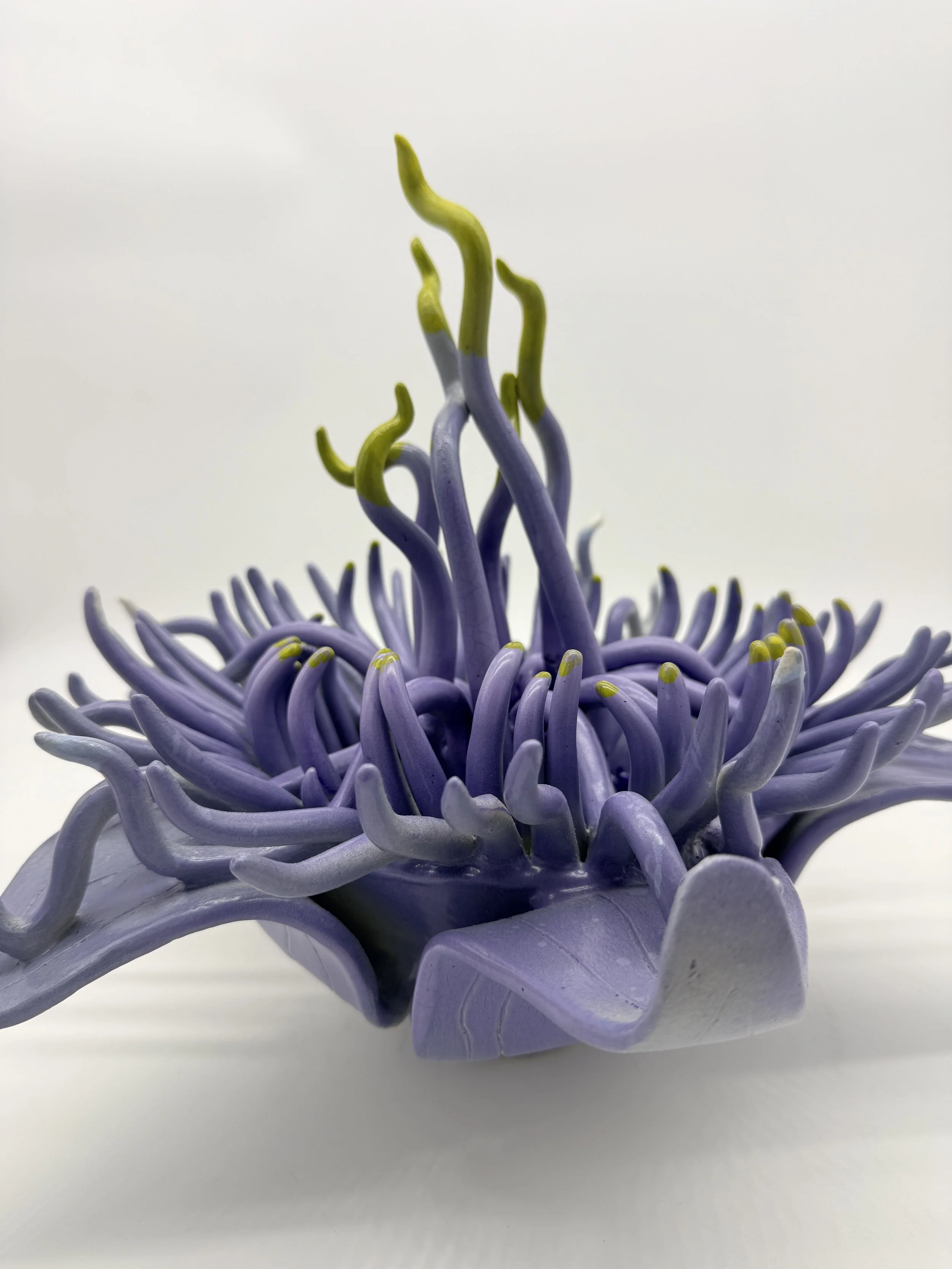 (Side Angle) Majestic Bloom, Ceramic, 2025, 12”x 16 x 16”(H X W X D)