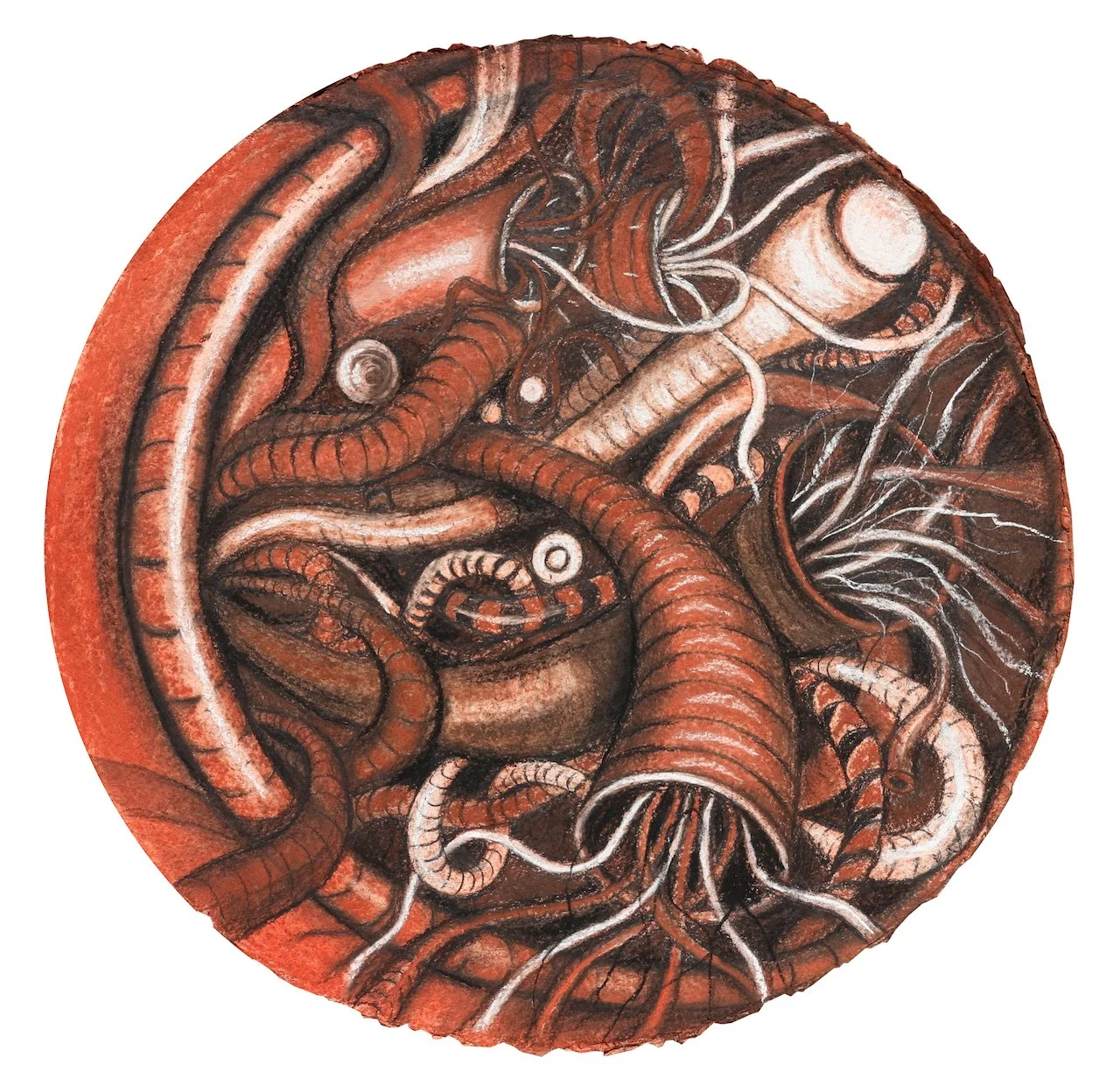 In the course of time,
Charcoal on Paper,
16" Diameter