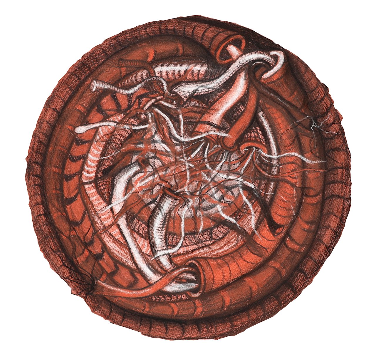 Intermingled Desire,
Charcoal on Paper,
16" Diameter