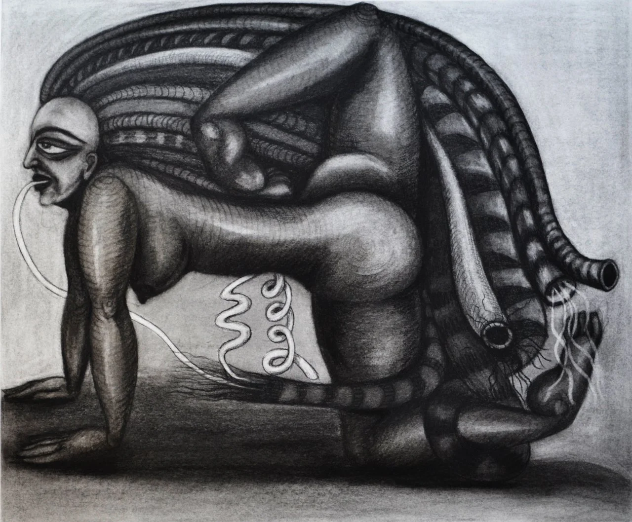 Instinct,
Charcoal On Paper,
22” x30” (H X W)
2015