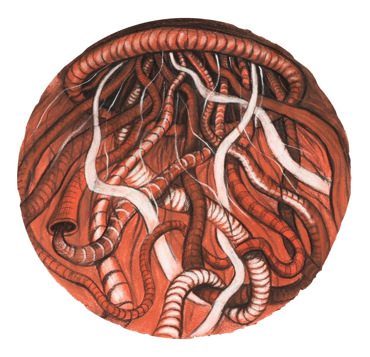 Sprouting Love,
Charcoal on Paper,
16" Diameter