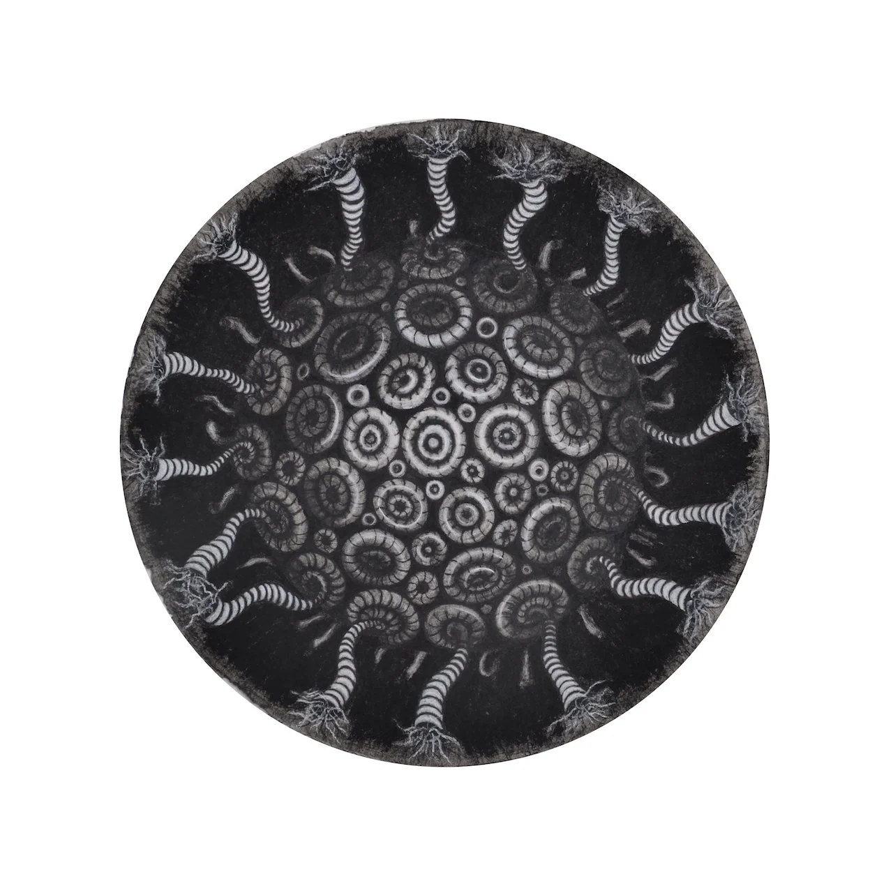 The Mysterious Cycle, 
Charcoal on Paper,
16" (Unavailable)