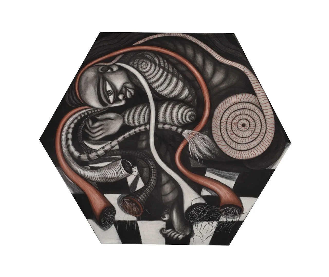 Ruled by Instinct (State of Animality),
Charcoal on Paper,
30” X 30” (H X W),
2016 