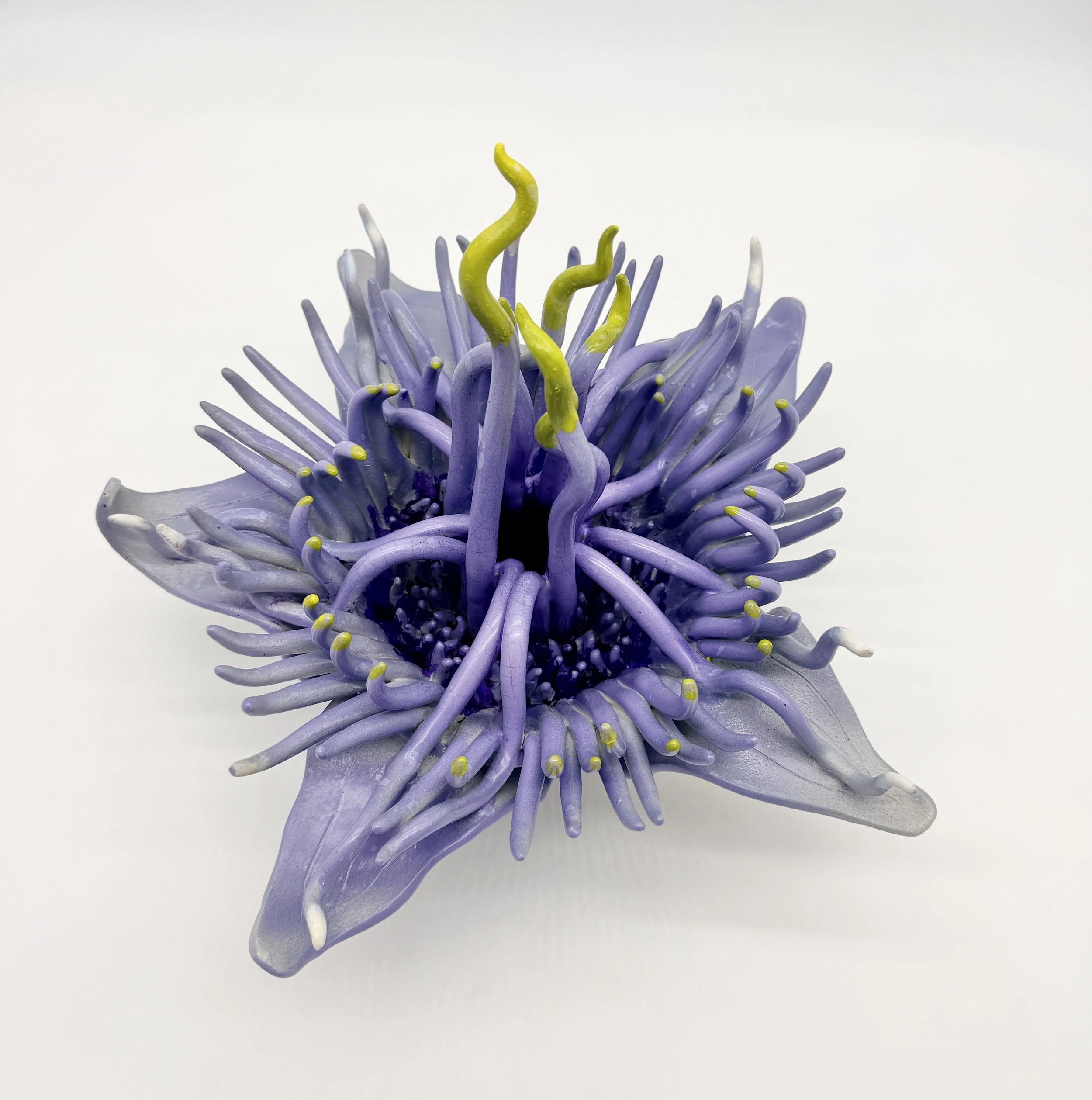 (Top View) Majestic Bloom, Ceramic, 2025, 12”x 16 x 16”(H X W X D)