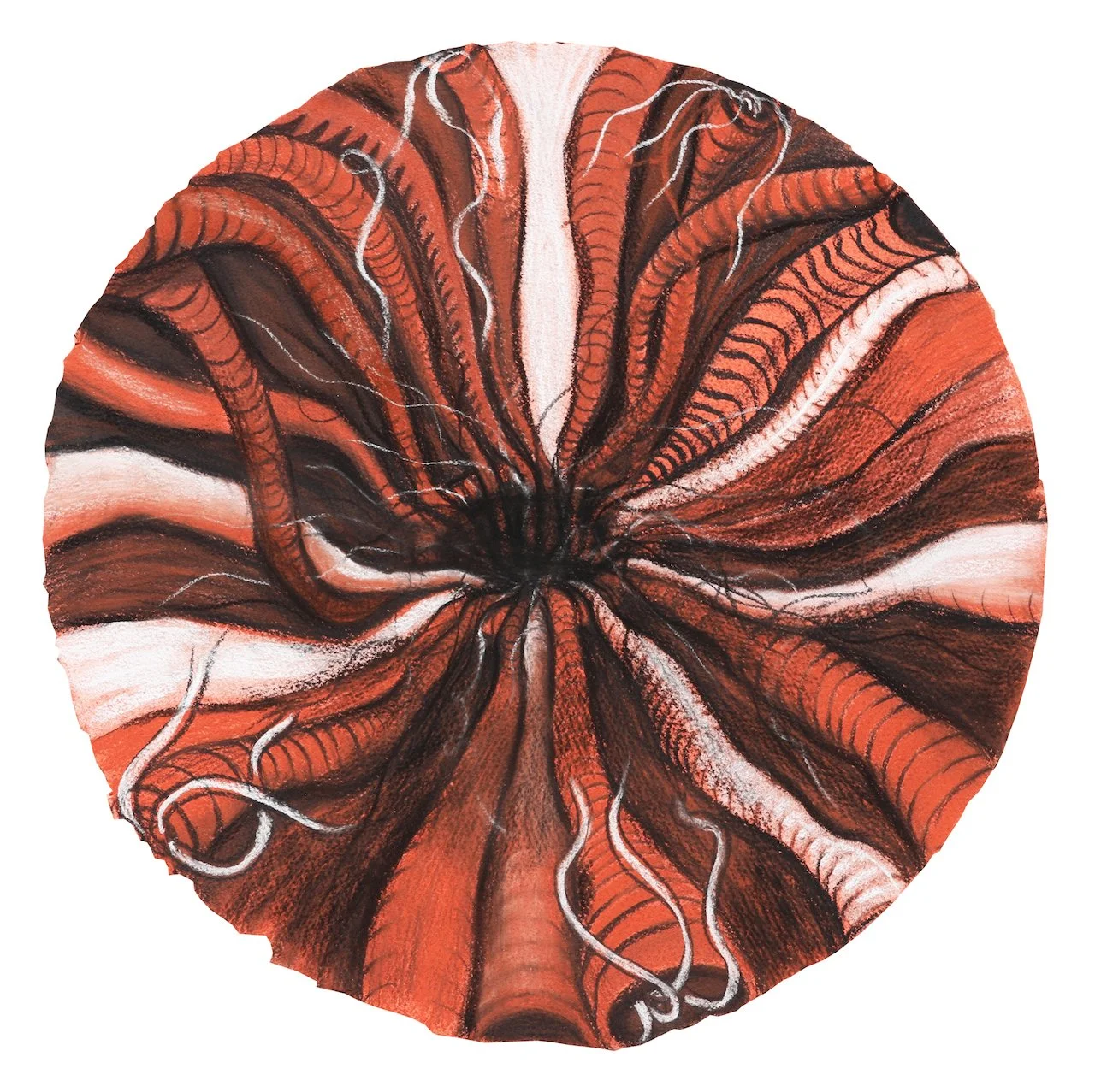 Depth of Abstraction,
Charcoal on Paper,
16" Diameter