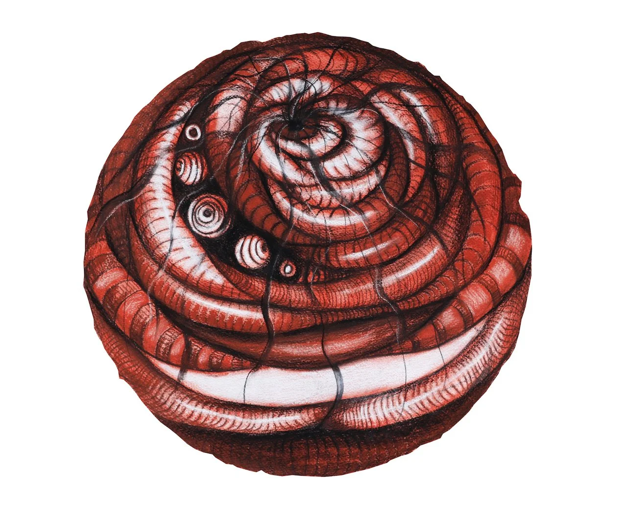 Wheel of Fortune,
Charcoal on Paper,
16" Diameter