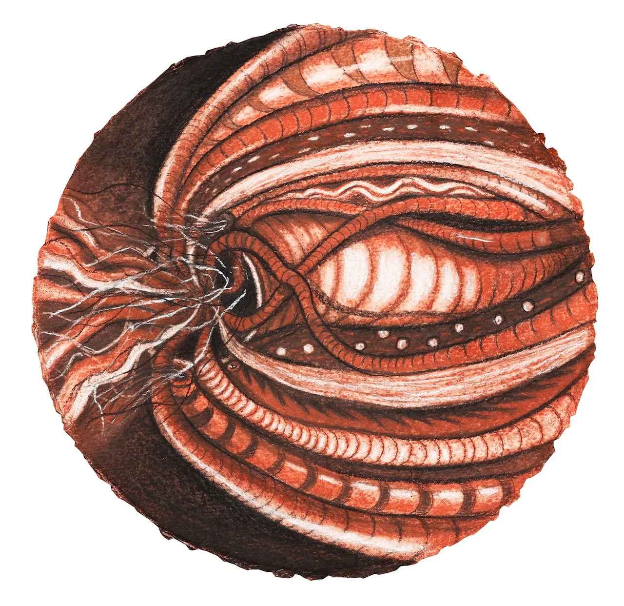 Unconscious Sphere,
Charcoal on Paper,
16" Diameter