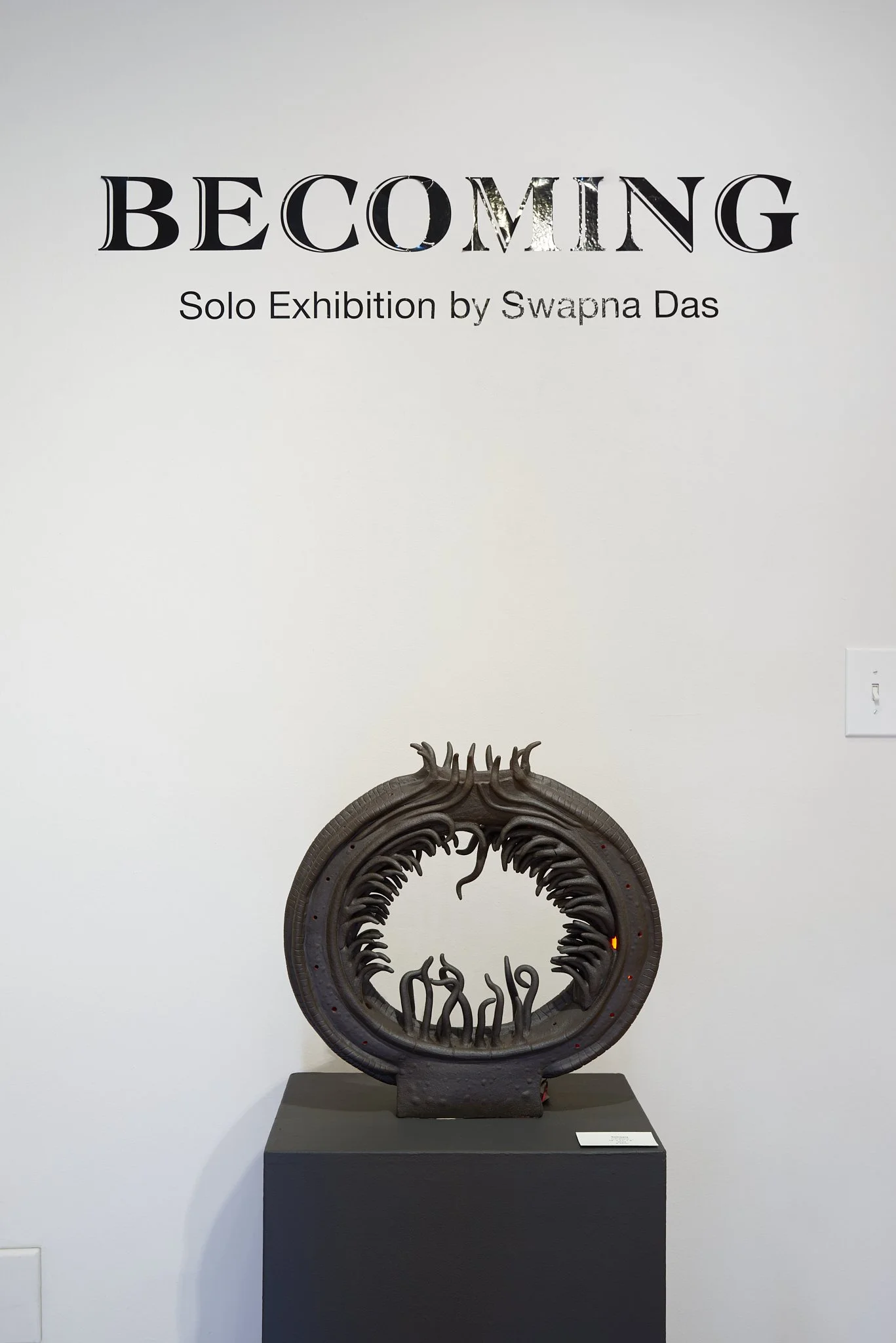240728_exhibit_swapna_das_29.jpg