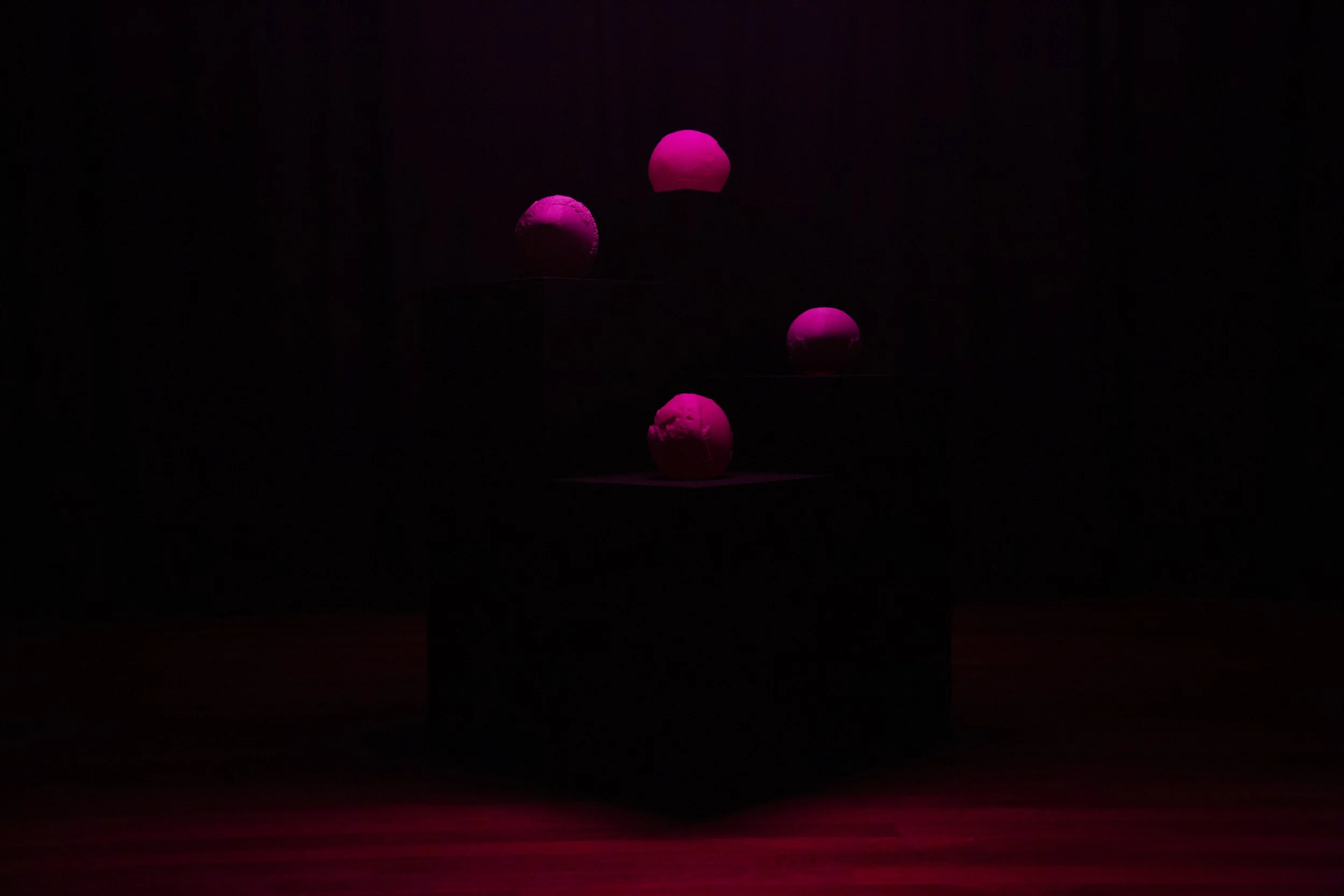 0T7A0110.jpg