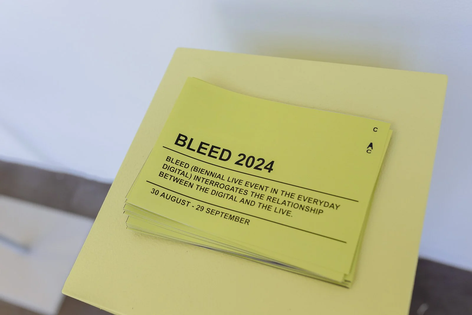 BLEED_Offline+Vanishing Point_089_Nic Smith.JPG