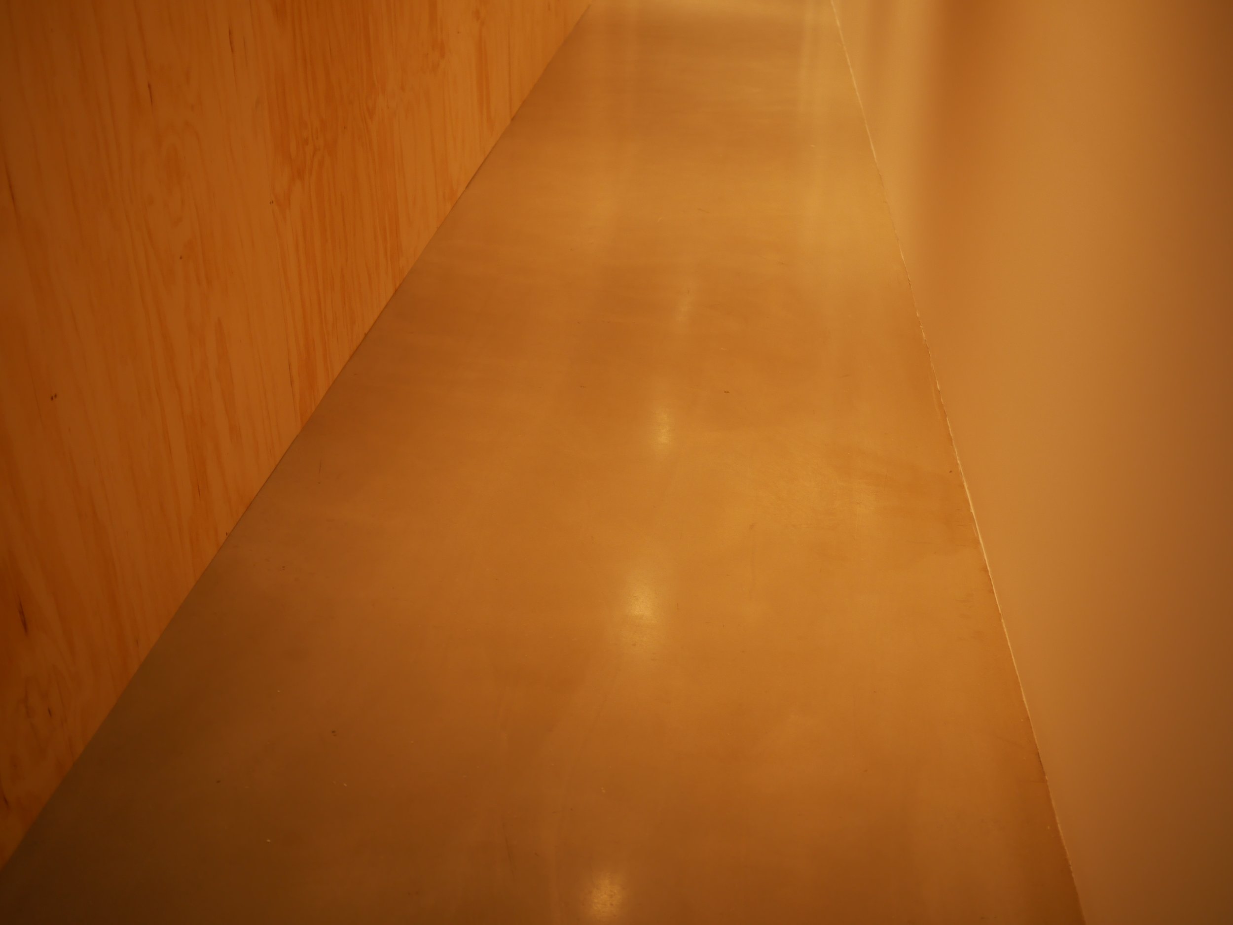 P1000865.JPG
