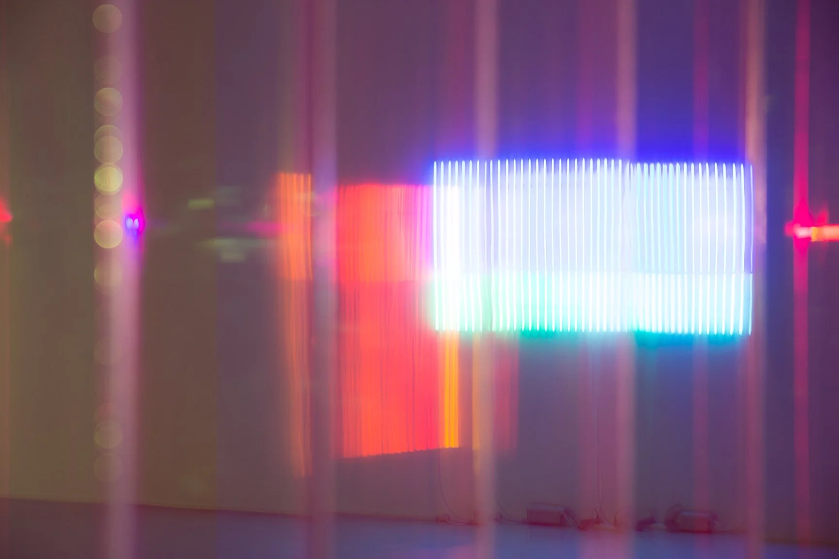 _0158139.jpg