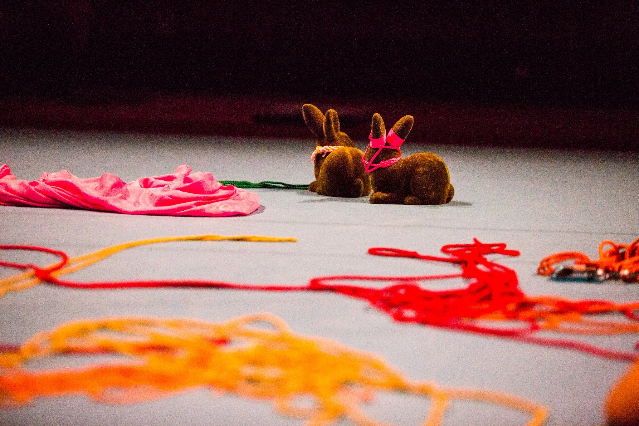 Bunny_CAC_ChrisFrape-0203.jpg