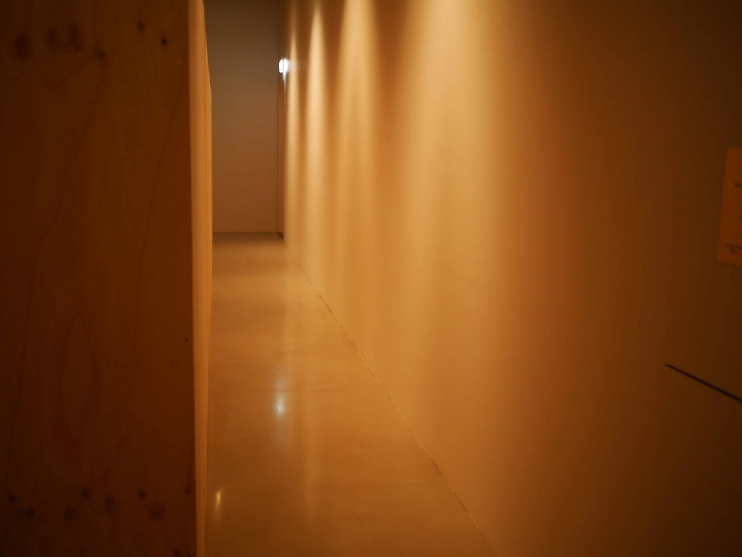 P1000855.JPG