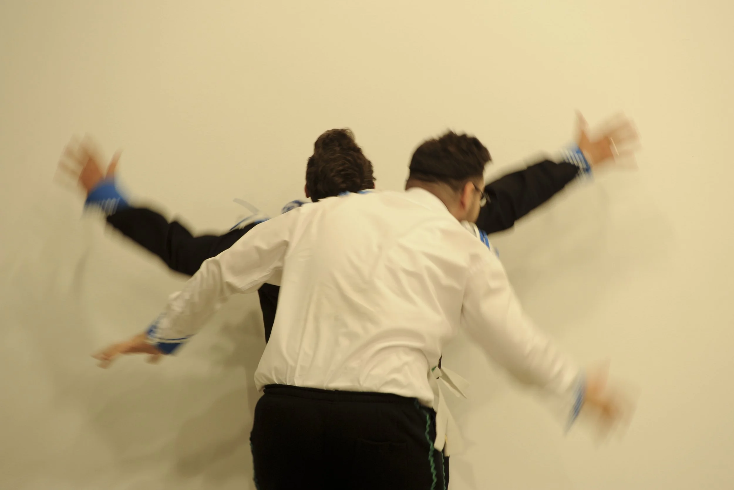 _-206.jpg