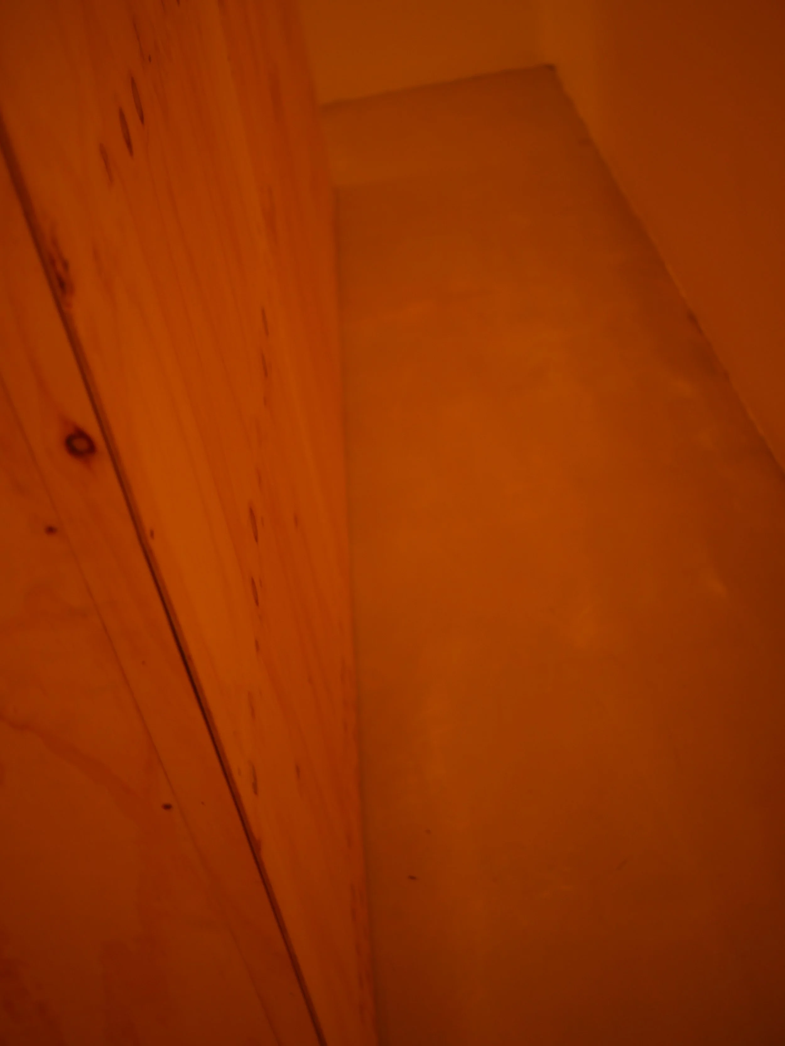 P1000946.JPG