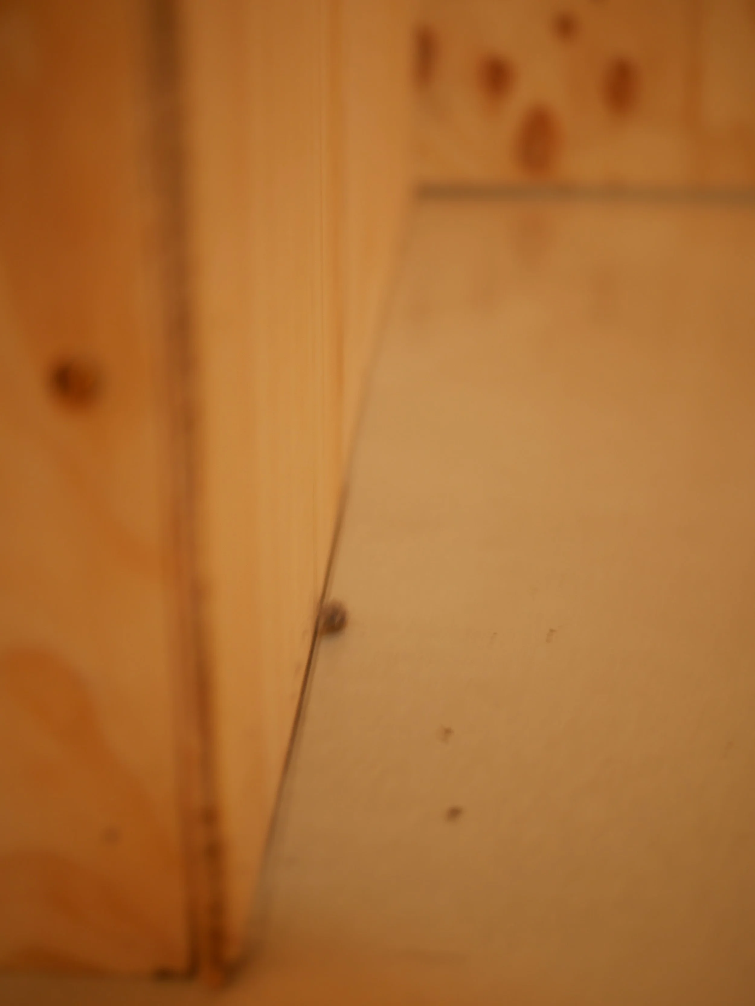 P1000945.JPG