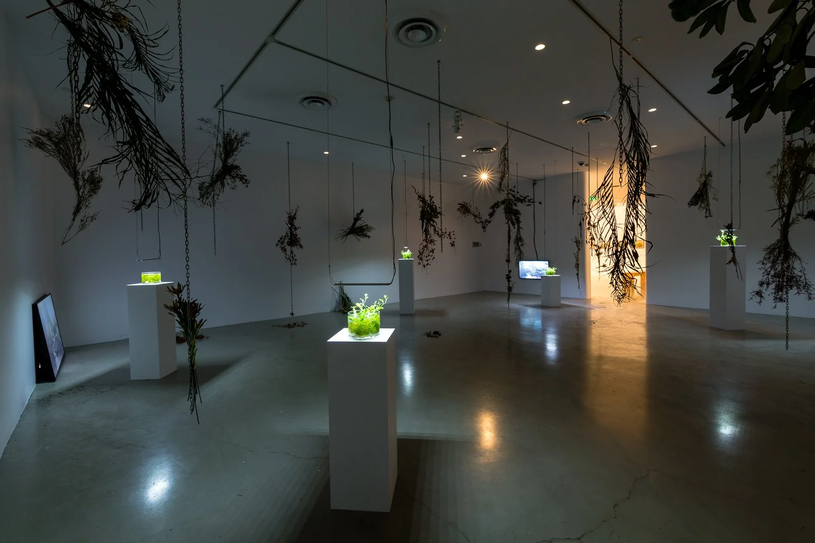 CAC_AUG INSTALL-MEDIA IMAGES-web-3.jpg