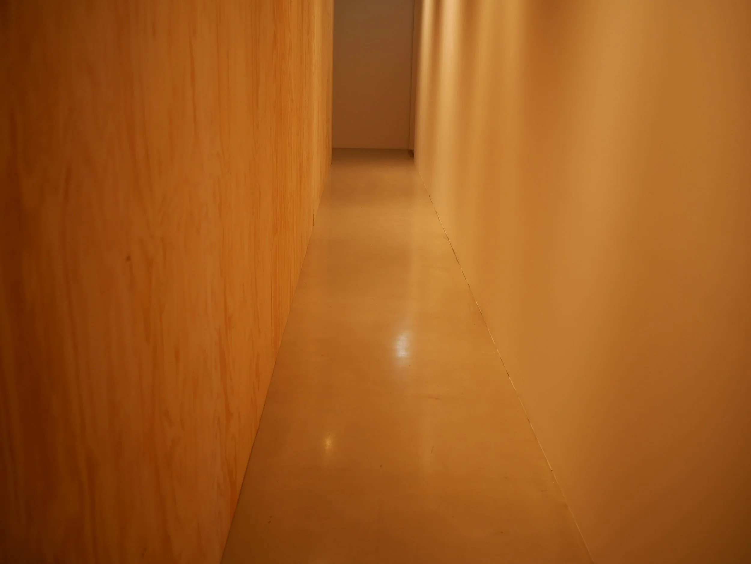 P1000828.JPG