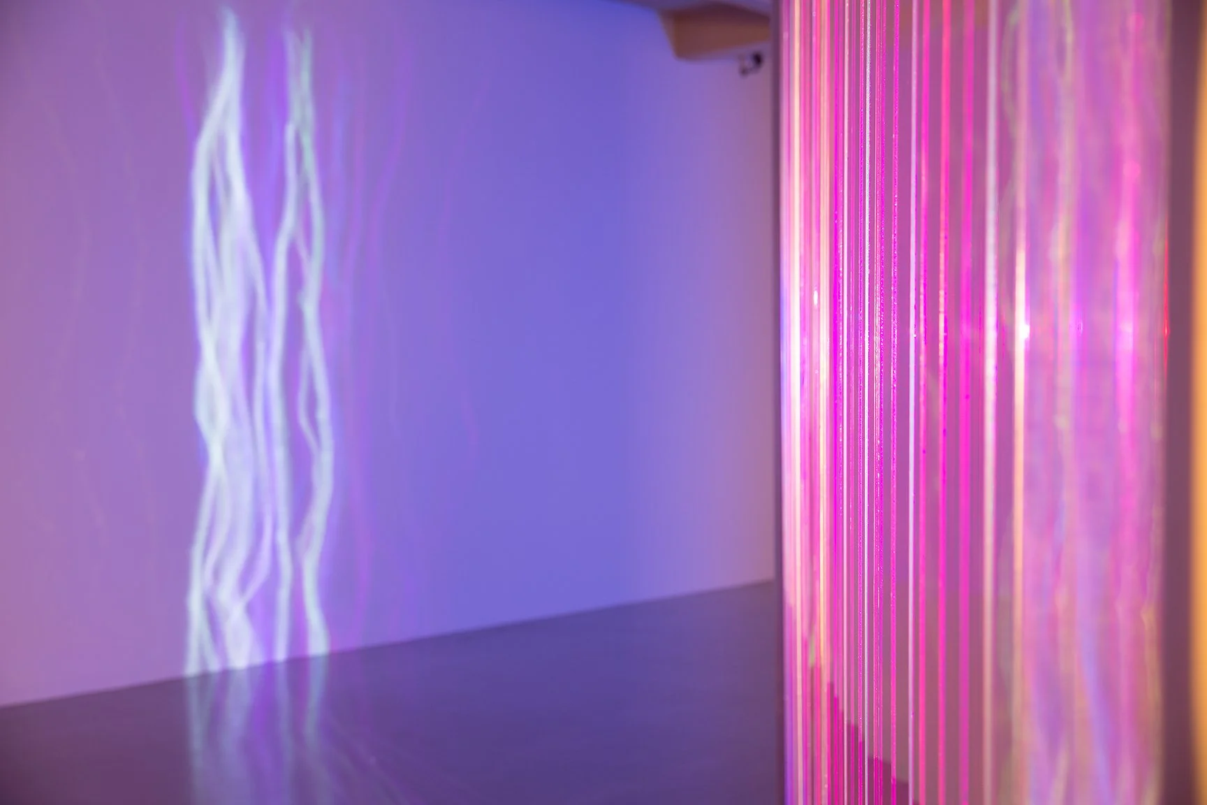 _0158137.jpg