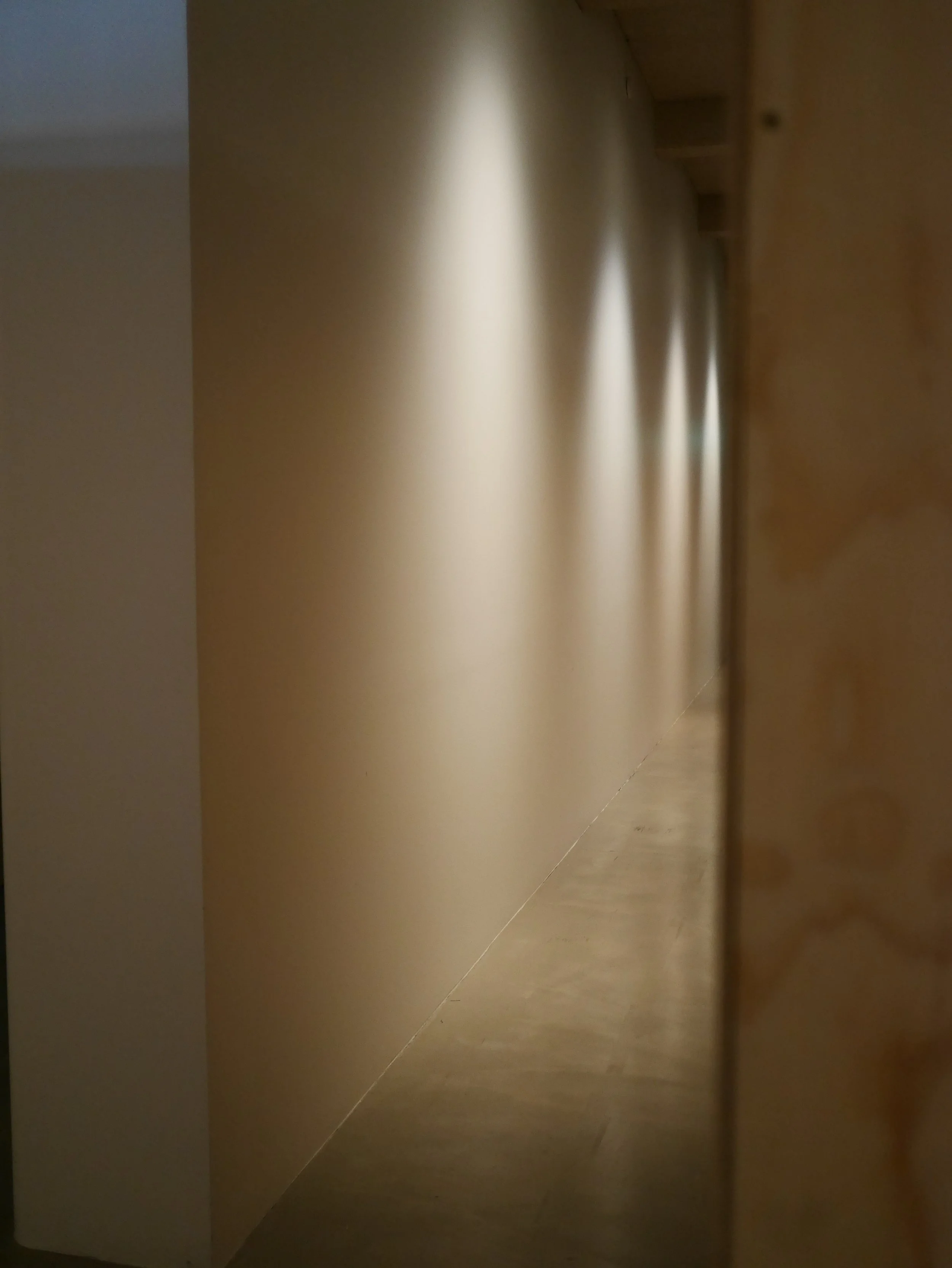 P1000820.JPG