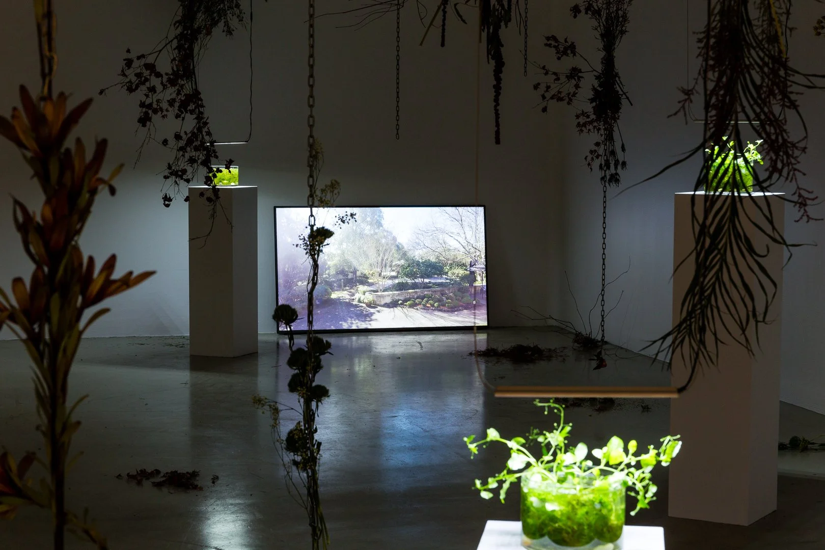 CAC_AUG INSTALL-MEDIA IMAGES-web-4.jpg