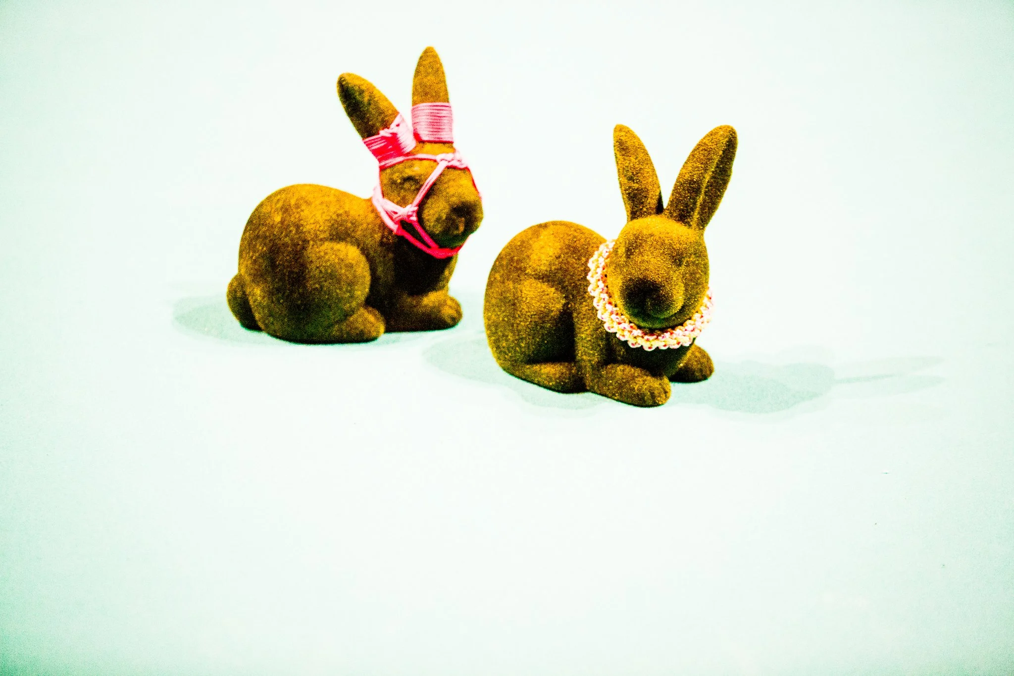 Bunny_CAC_ChrisFrape-9460.jpg