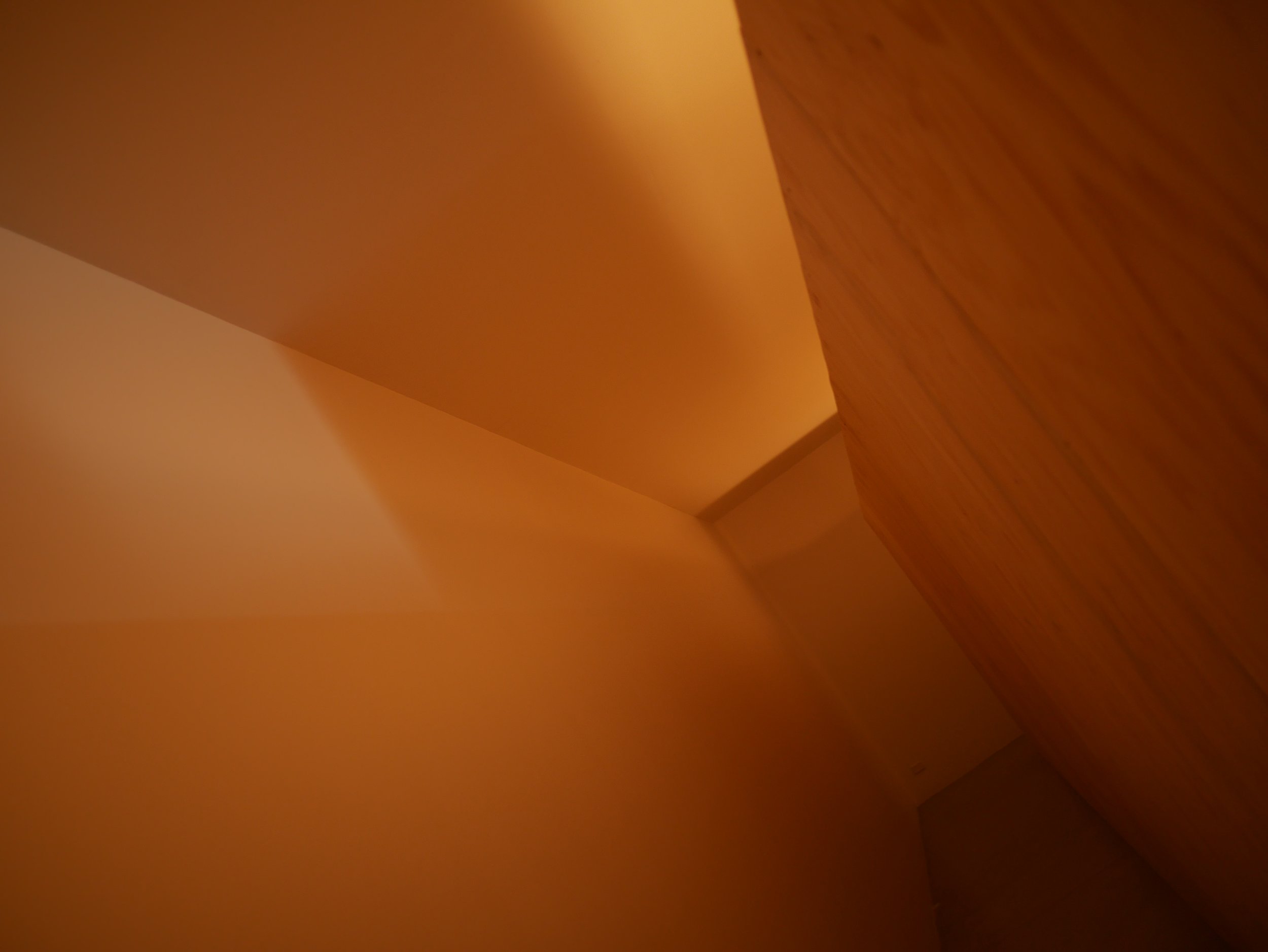 P1000877.JPG