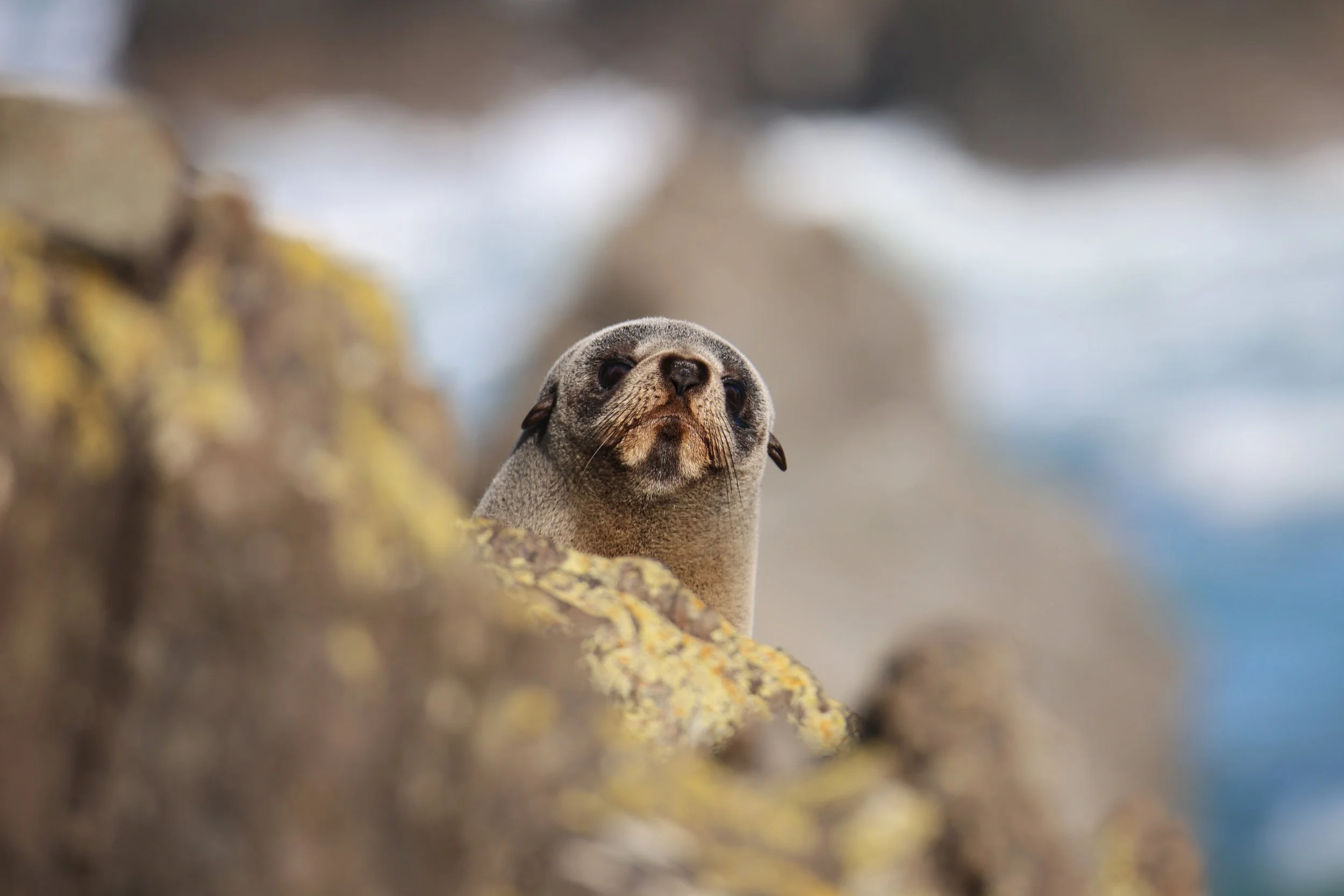 Field Notes - Cape Palliser | Wairarapa