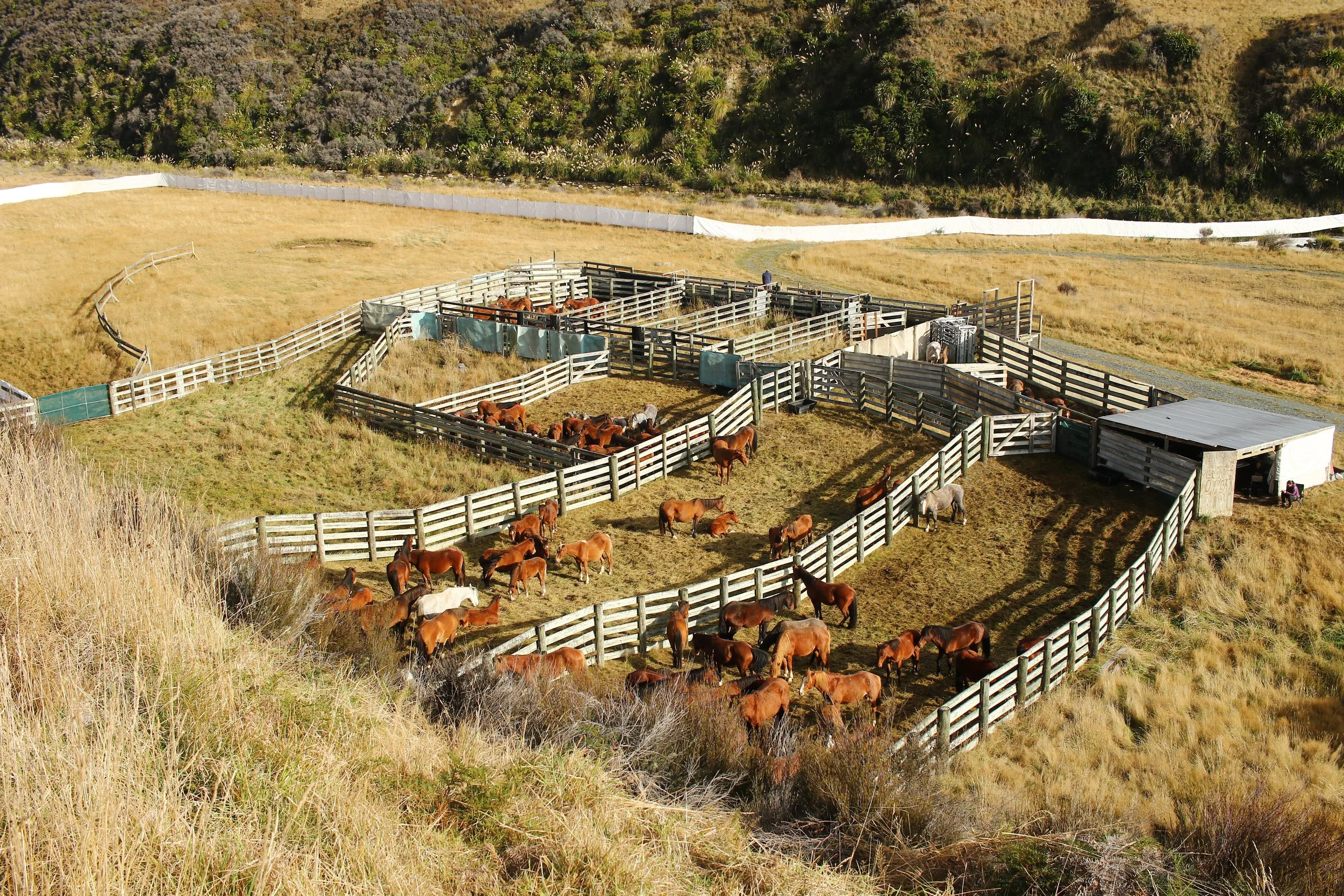 Muster Yards.jpg