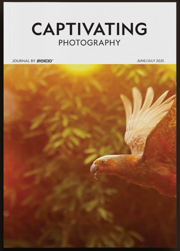 Screenshot 2025-06-18 123044.png