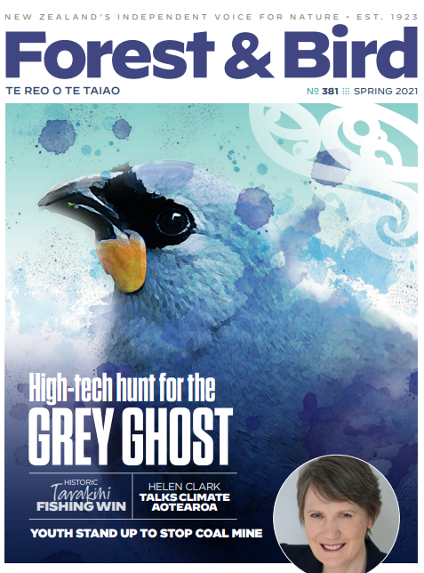 FB_Magazine-77b29d0a.png