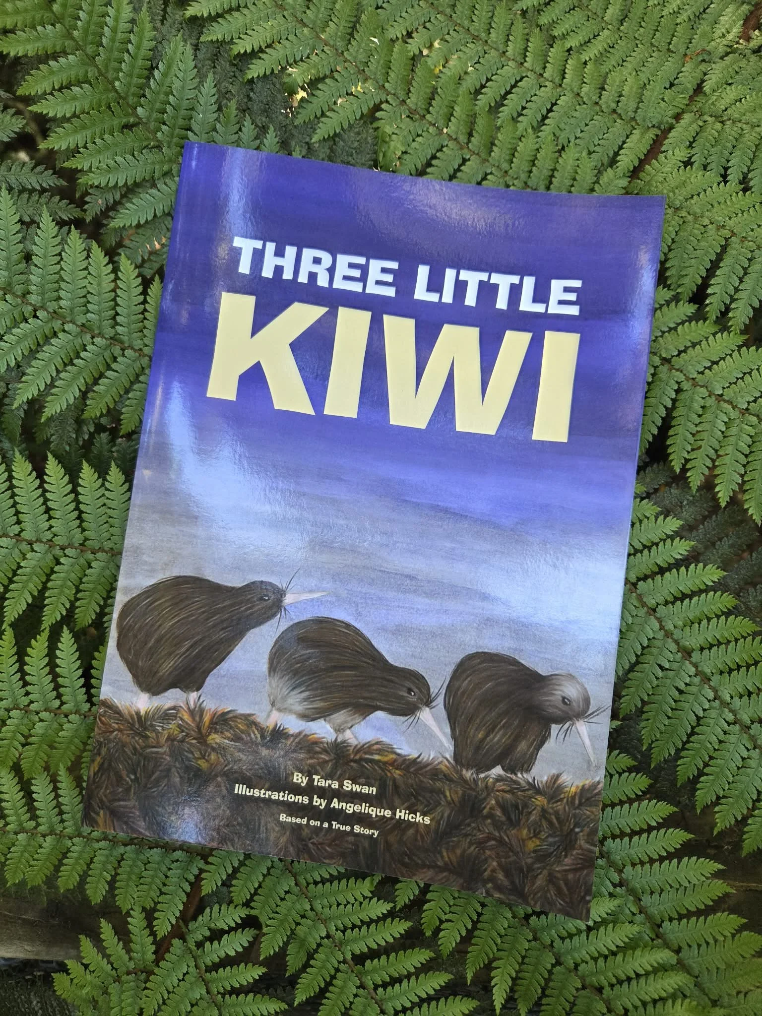 Three Little Kiwi